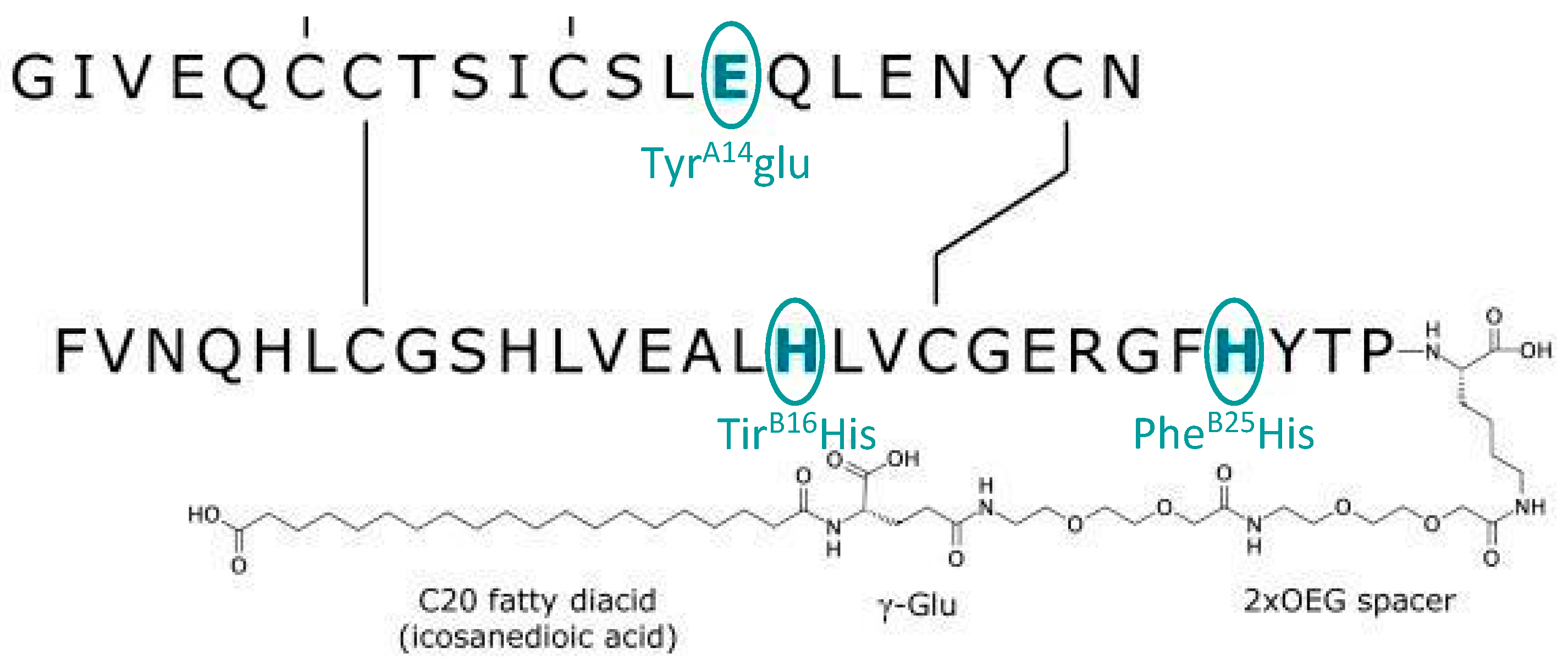 Biomedicines 12 00900 g003