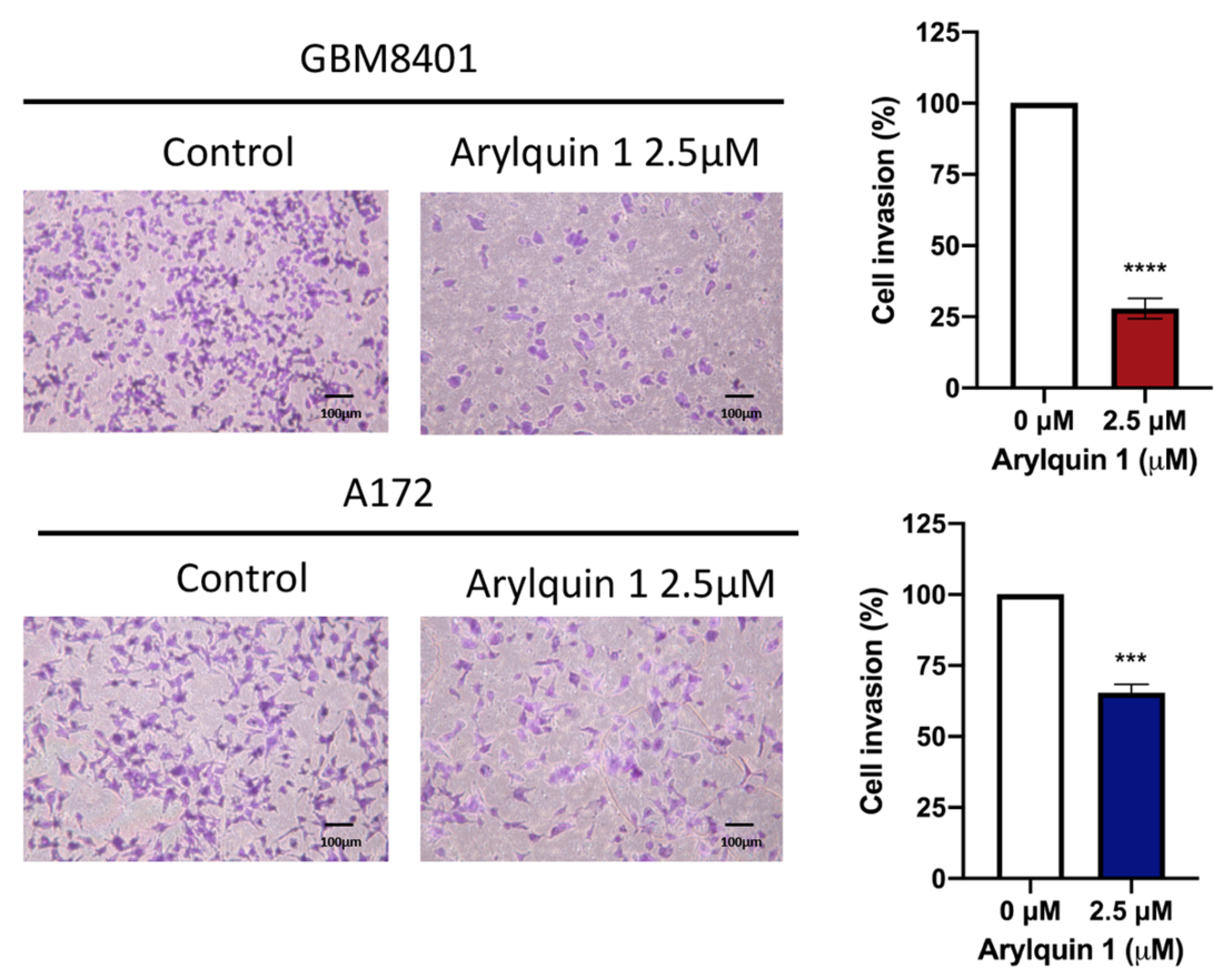 Biomedicines 12 00907 g004