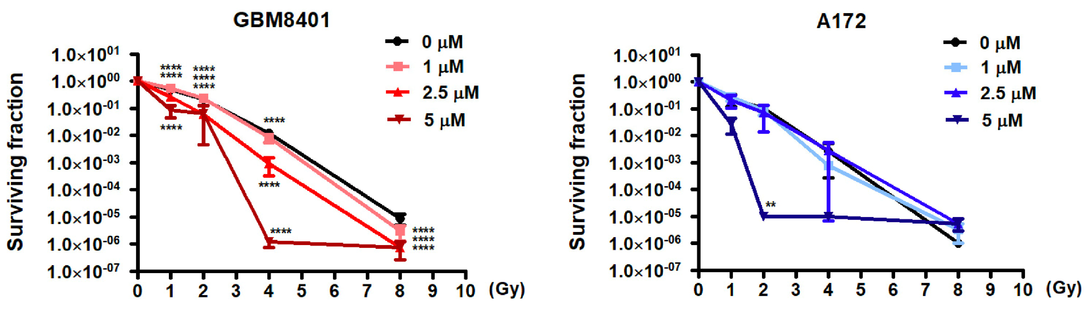 Biomedicines 12 00907 g006