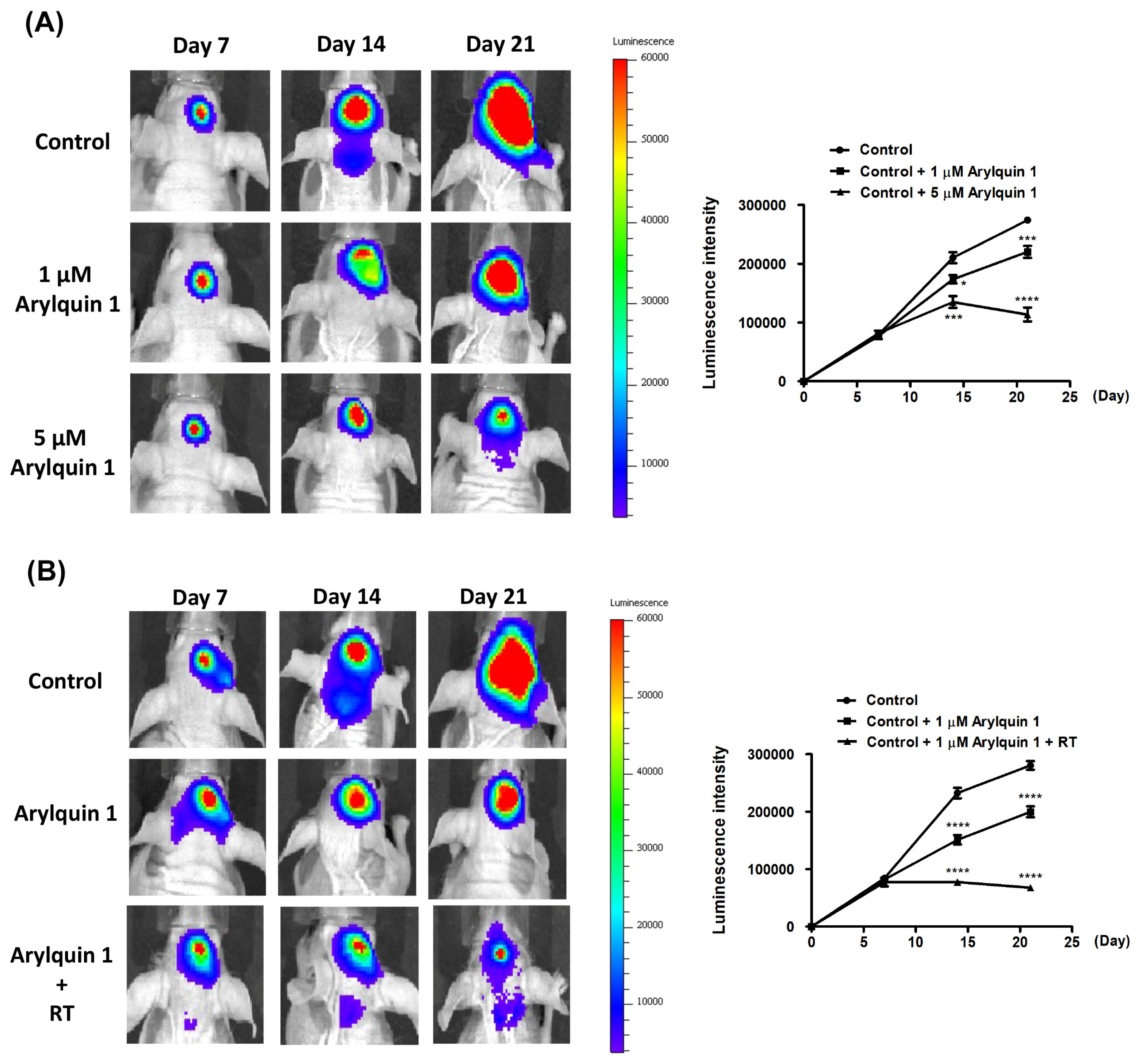 Biomedicines 12 00907 g007