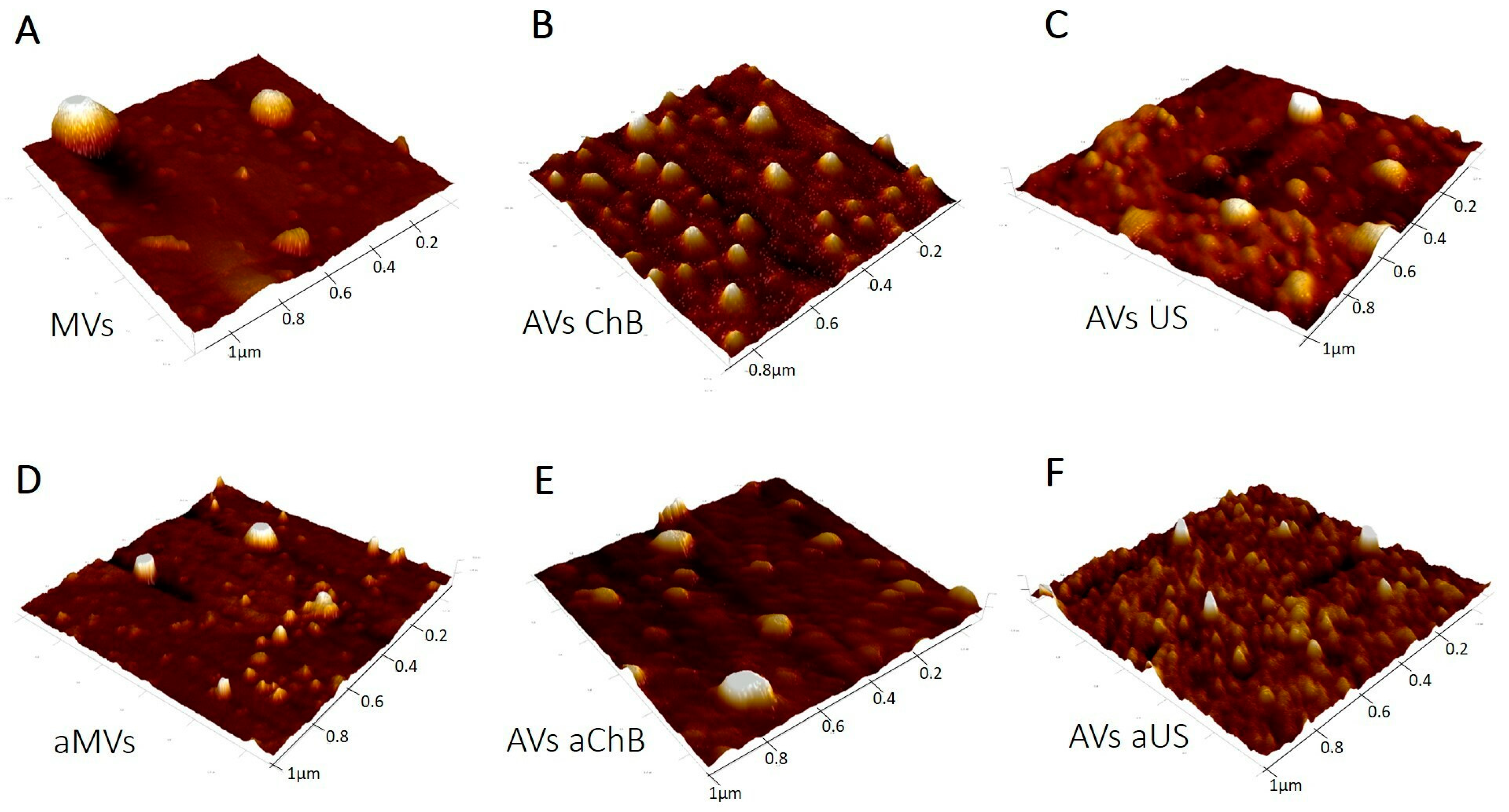 Biomedicines 12 00919 g005