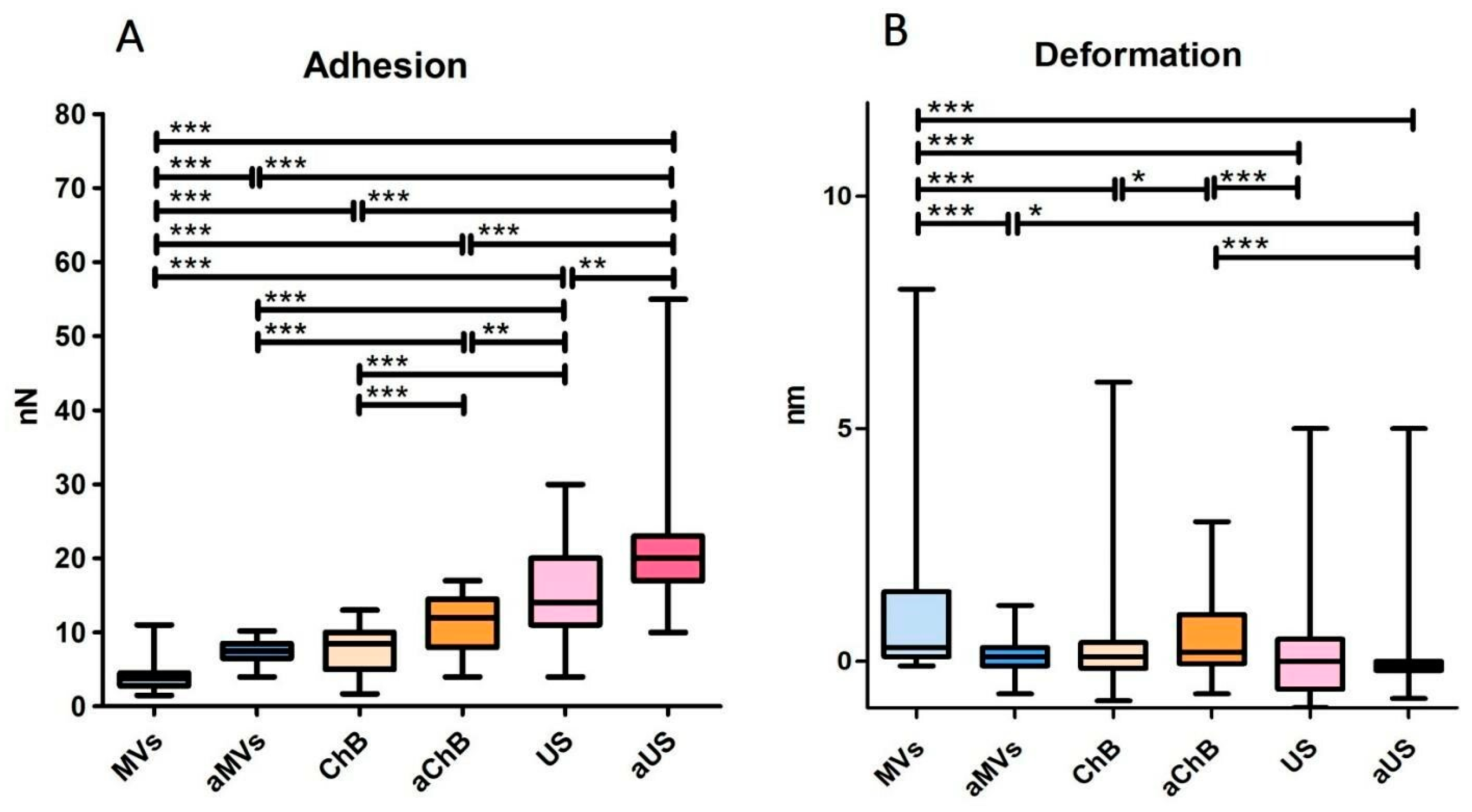 Biomedicines 12 00919 g006