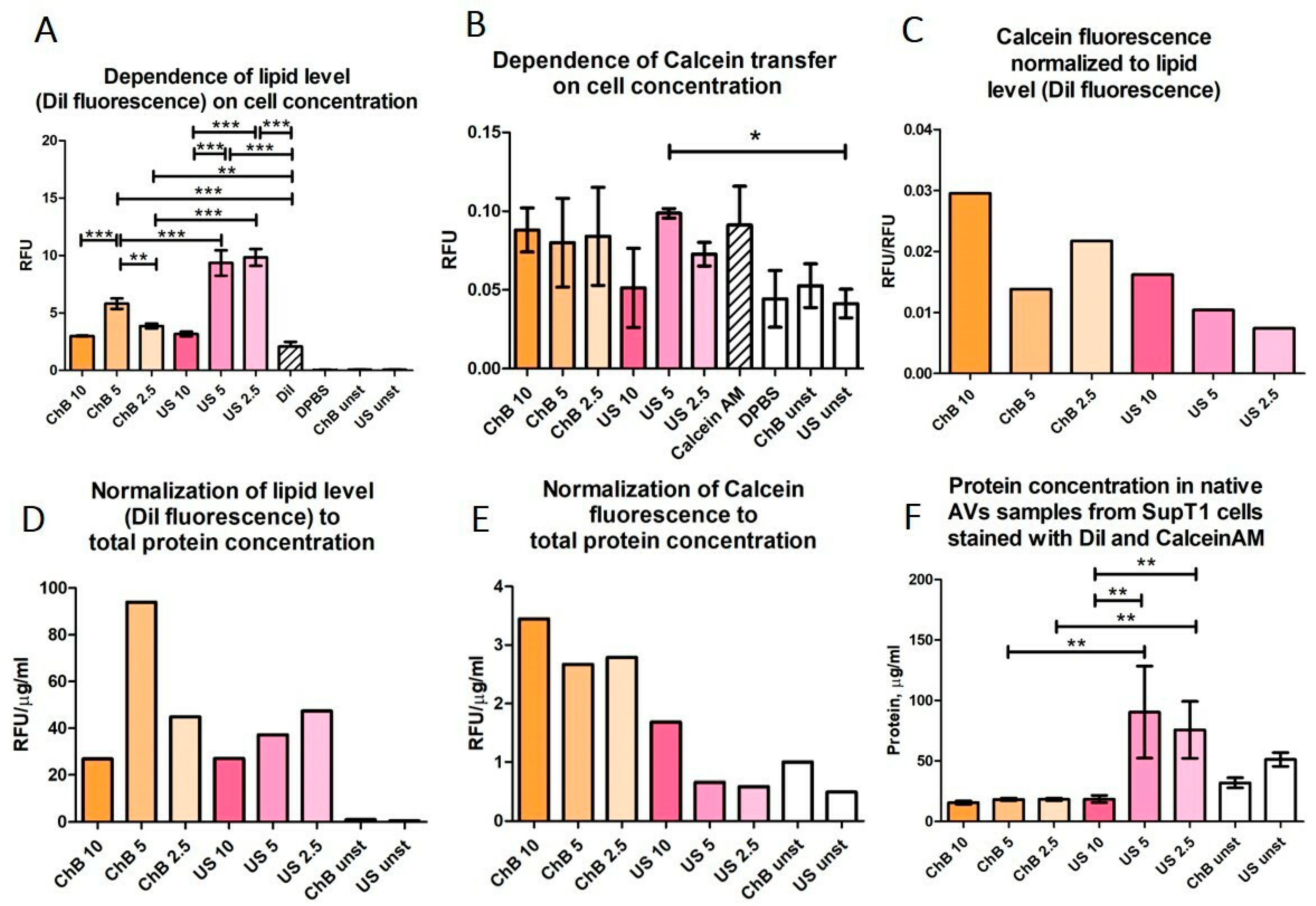 Biomedicines 12 00919 g007