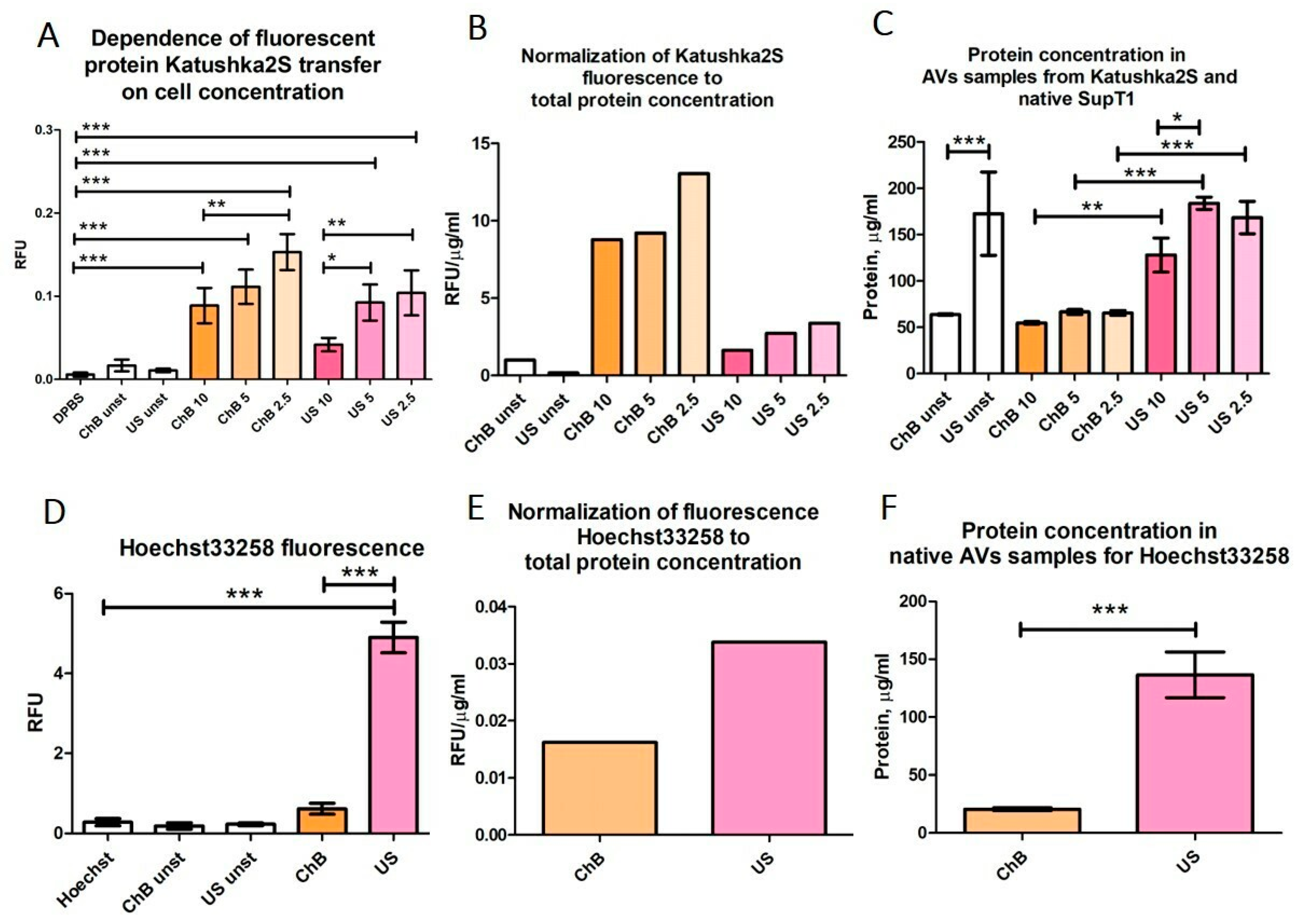 Biomedicines 12 00919 g008