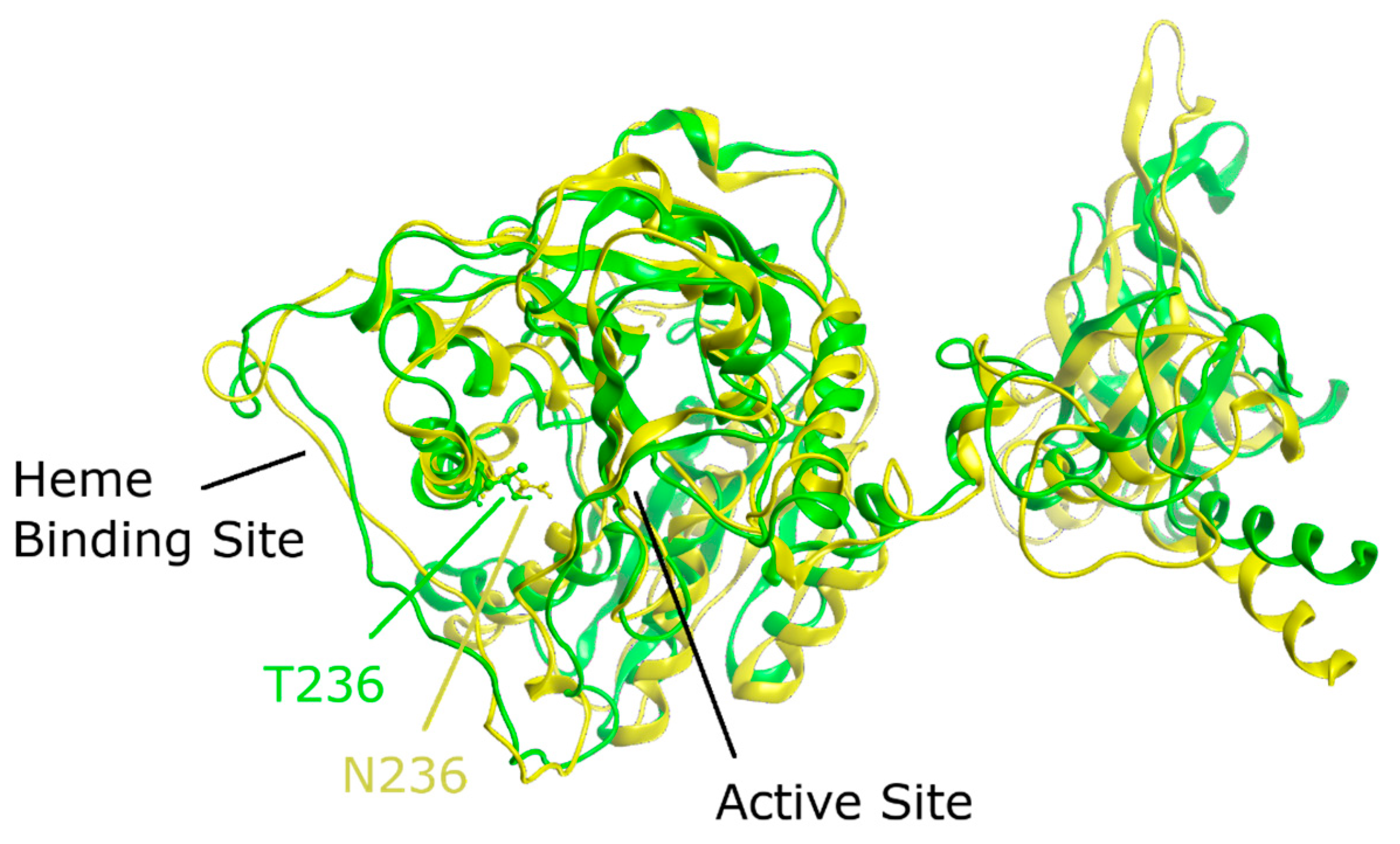 Biomedicines 12 00929 g006