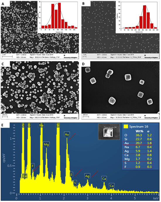 Biomedicines 12 00934 g003