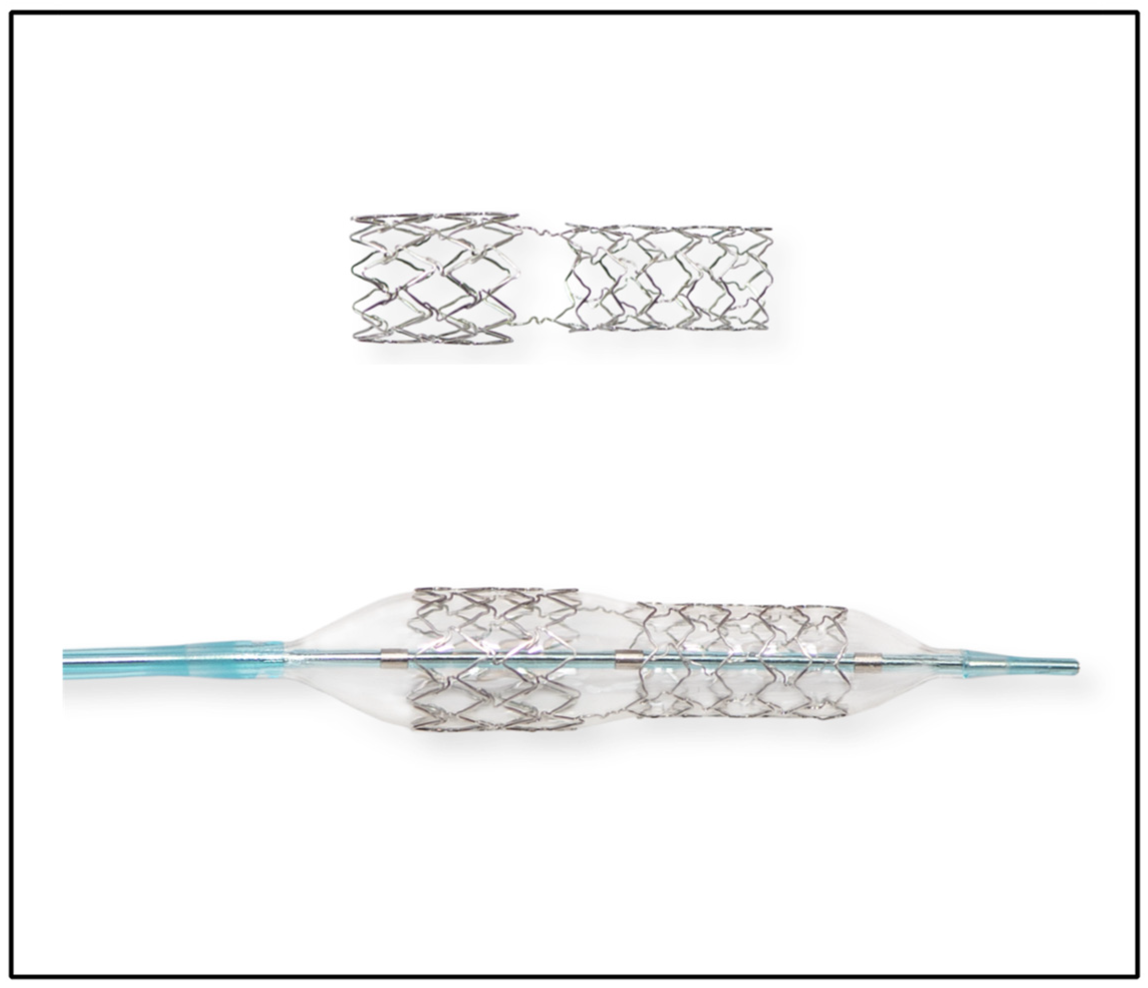 Biomedicines 12 00938 g001