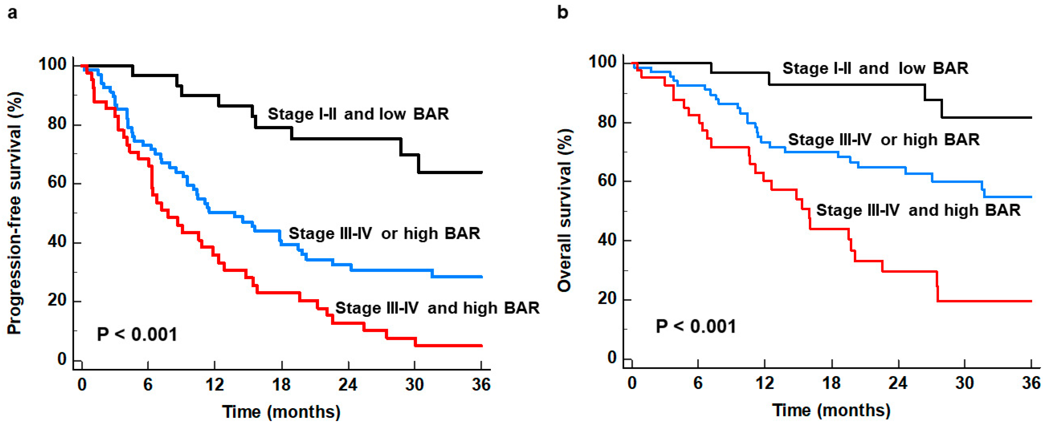 Biomedicines 12 00944 g003