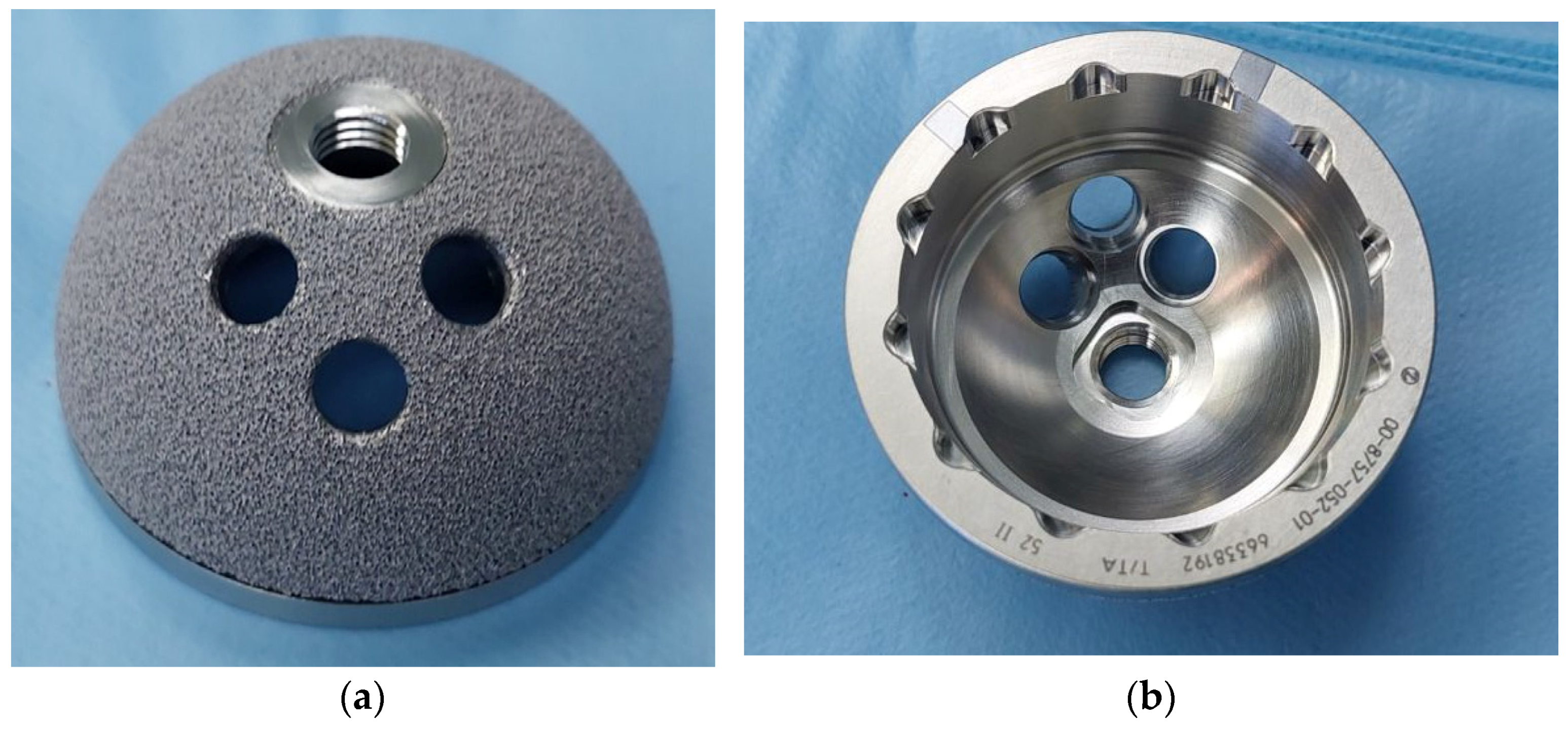 Biomedicines 12 00959 g002