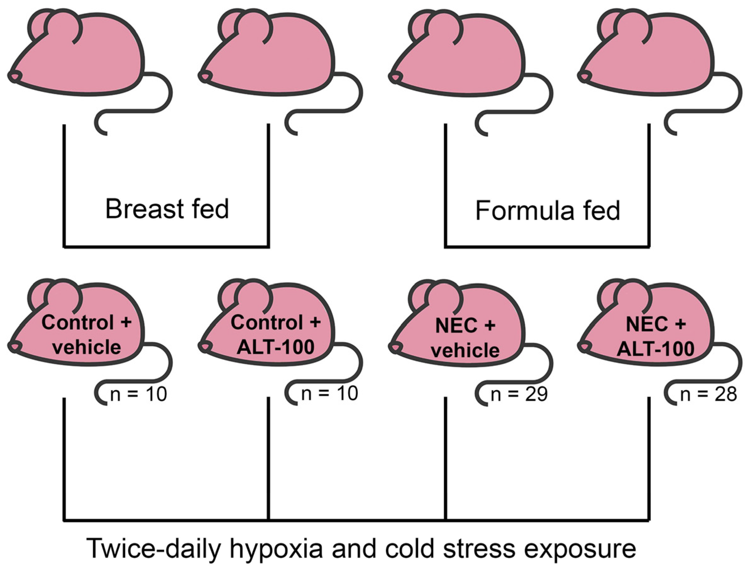 Biomedicines 12 00970 g001