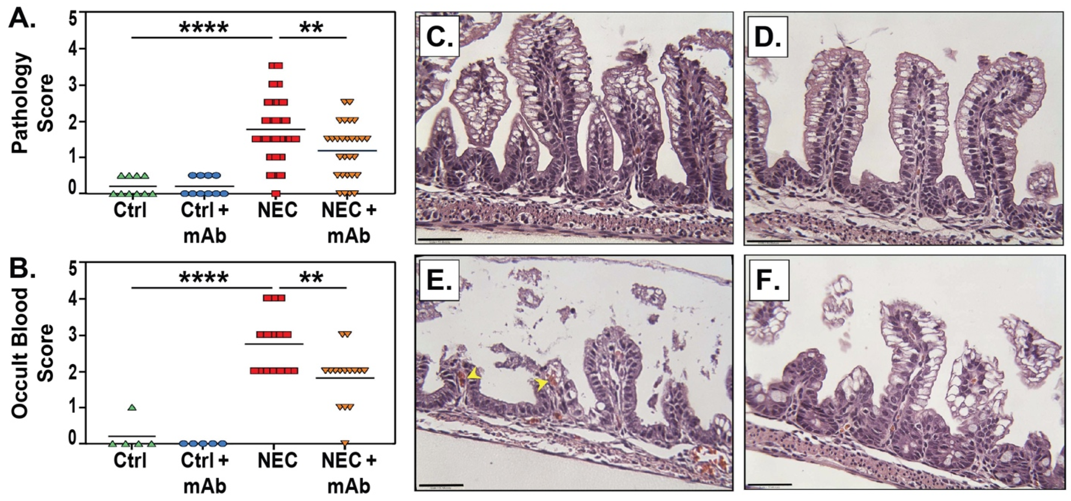 Biomedicines 12 00970 g003