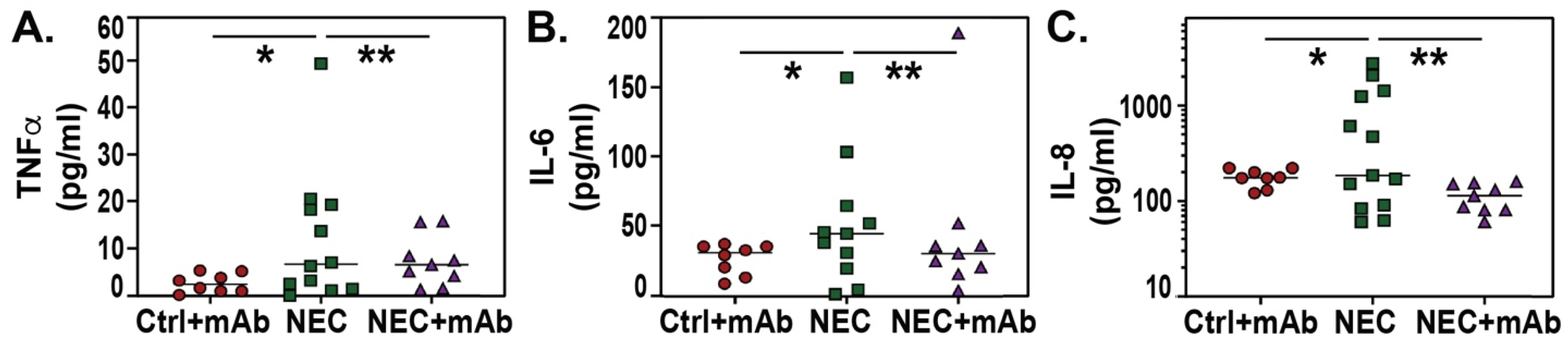 Biomedicines 12 00970 g004