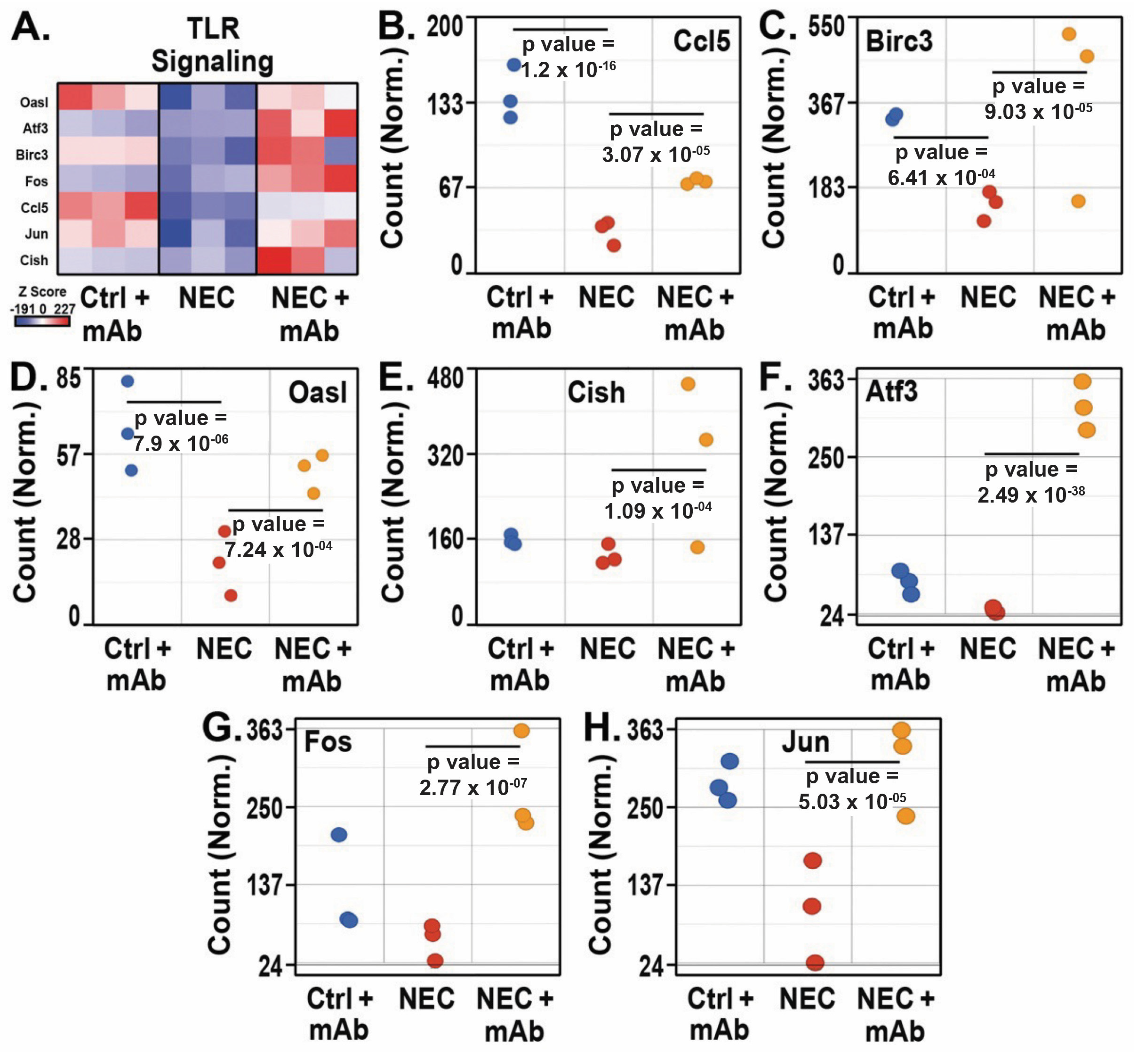 Biomedicines 12 00970 g005