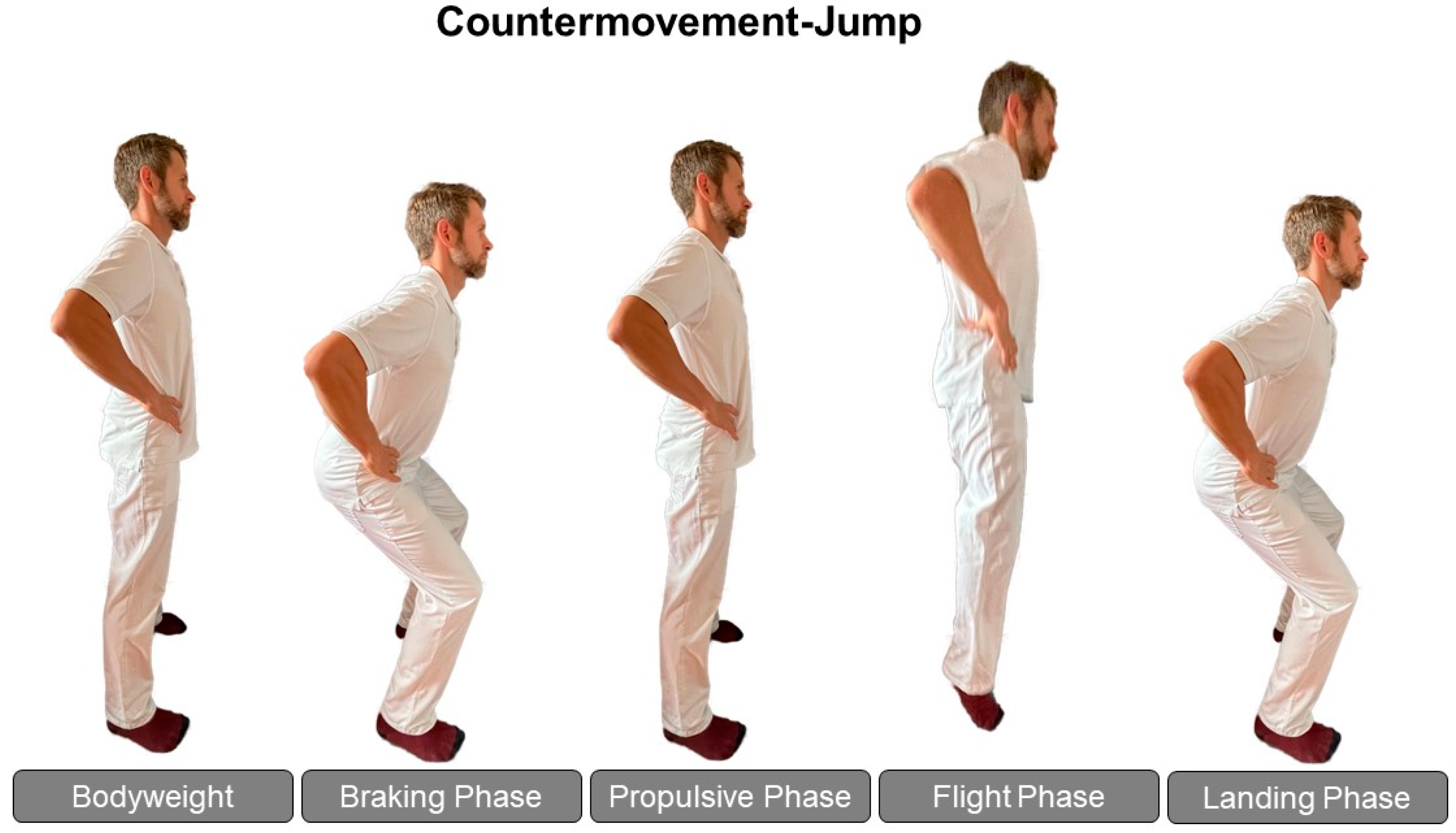 Biomedicines 12 00971 g001