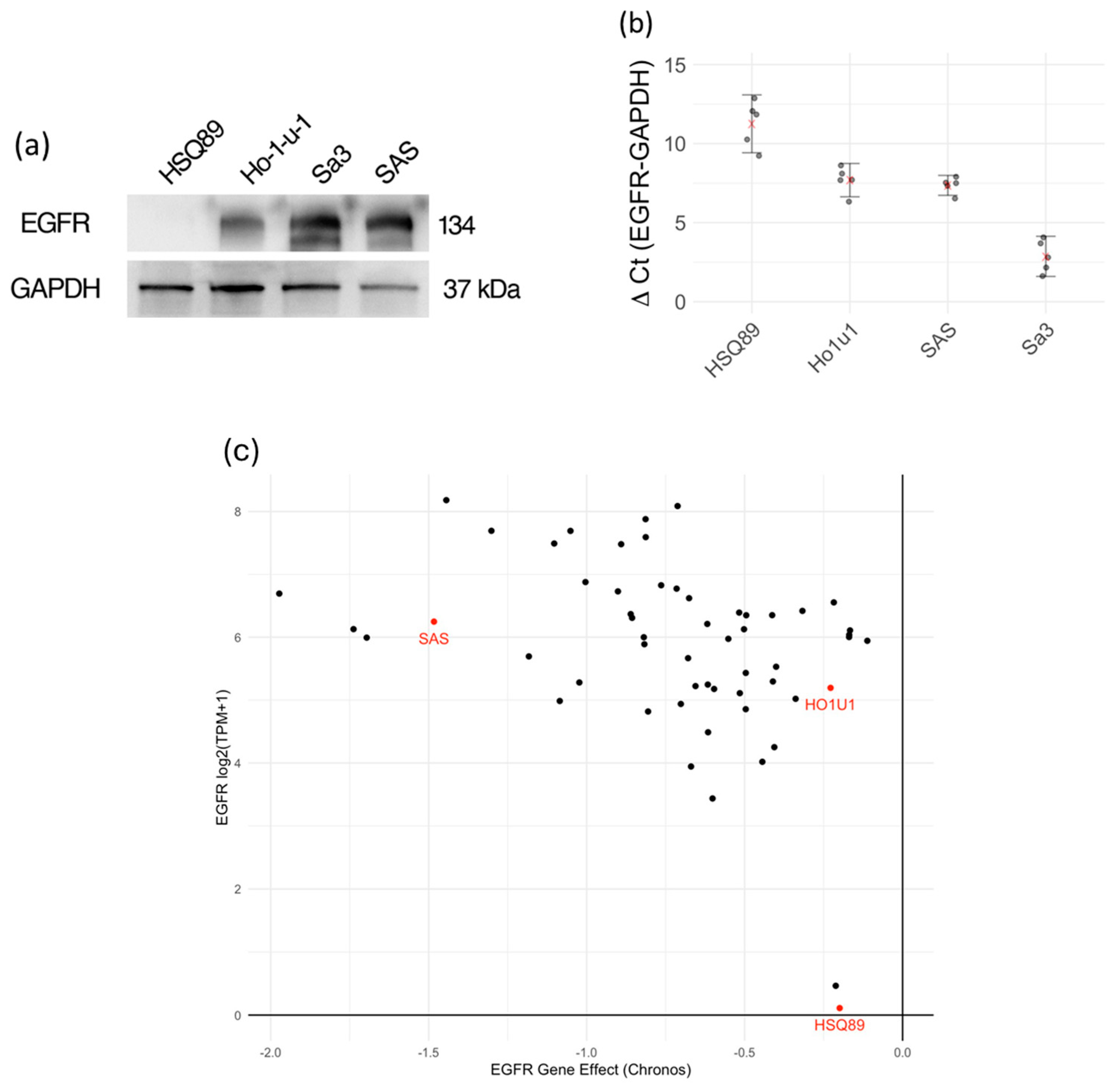 Biomedicines 12 00973 g001 Biomedicines 12 00973 g001