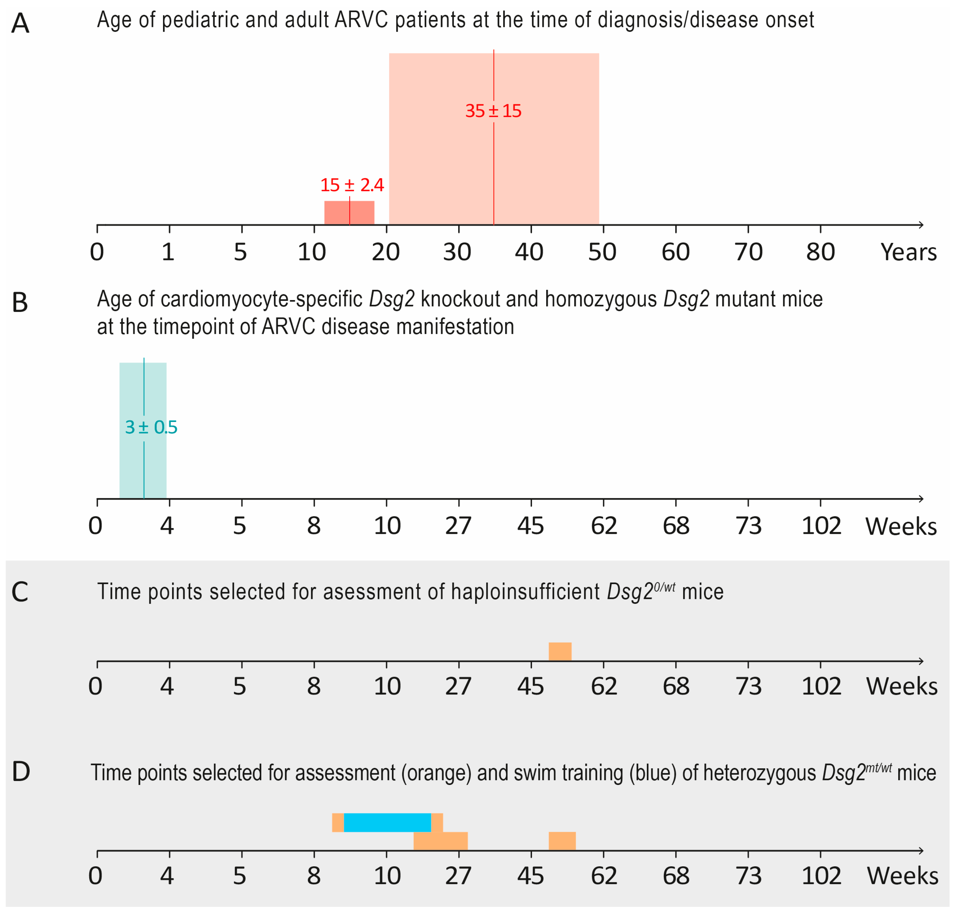 Biomedicines 12 00985 g001