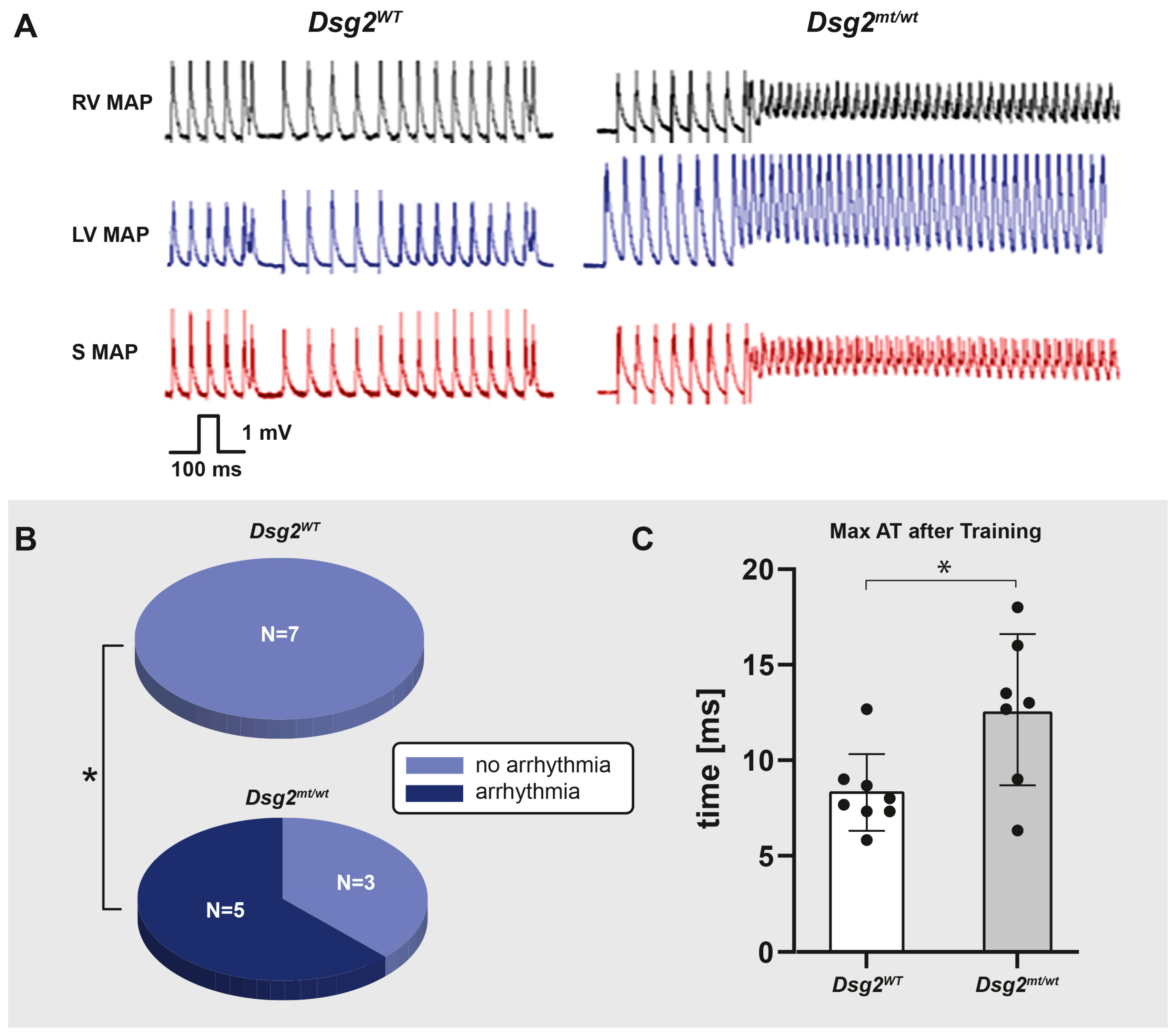 Biomedicines 12 00985 g004
