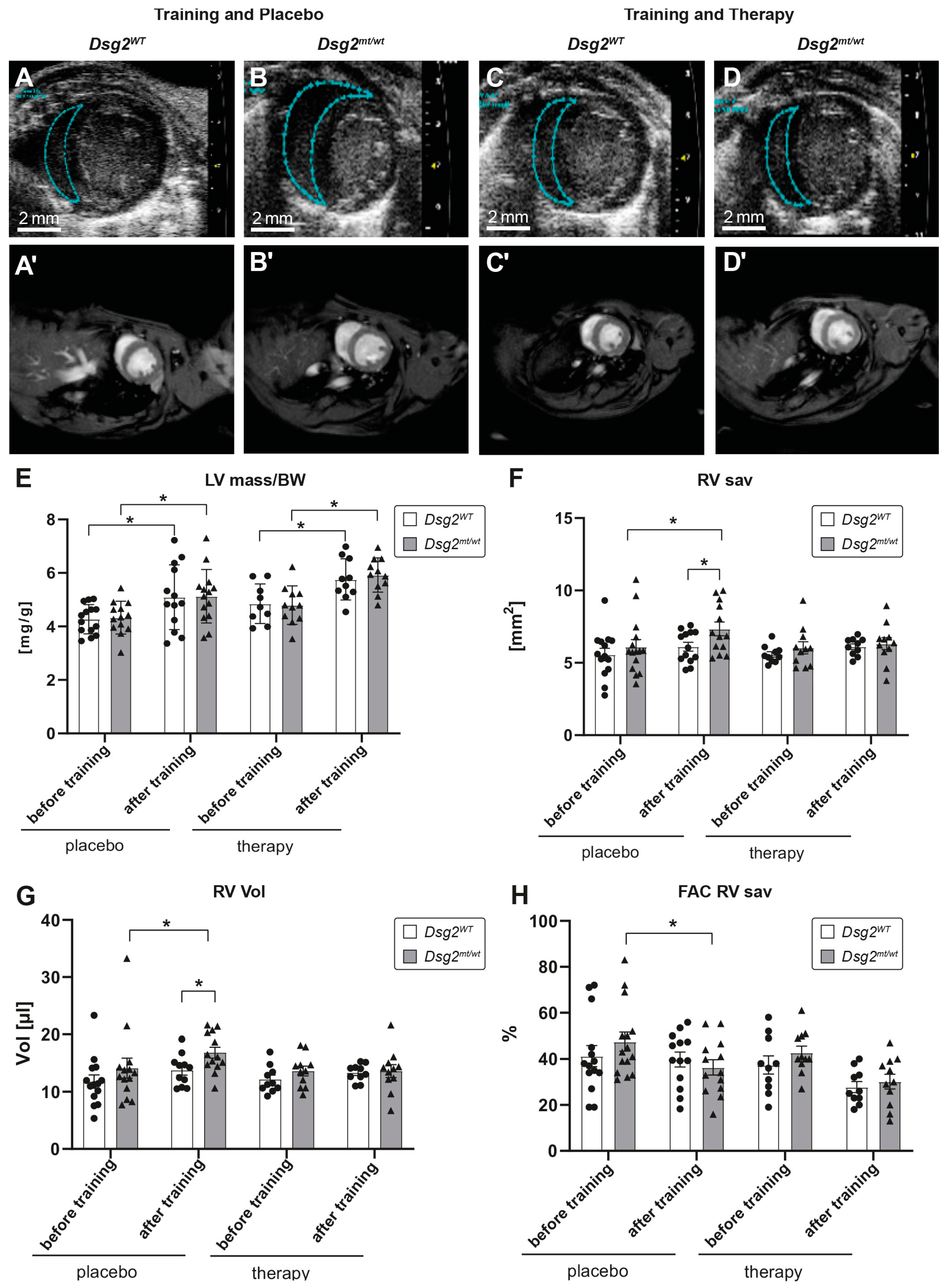 Biomedicines 12 00985 g005