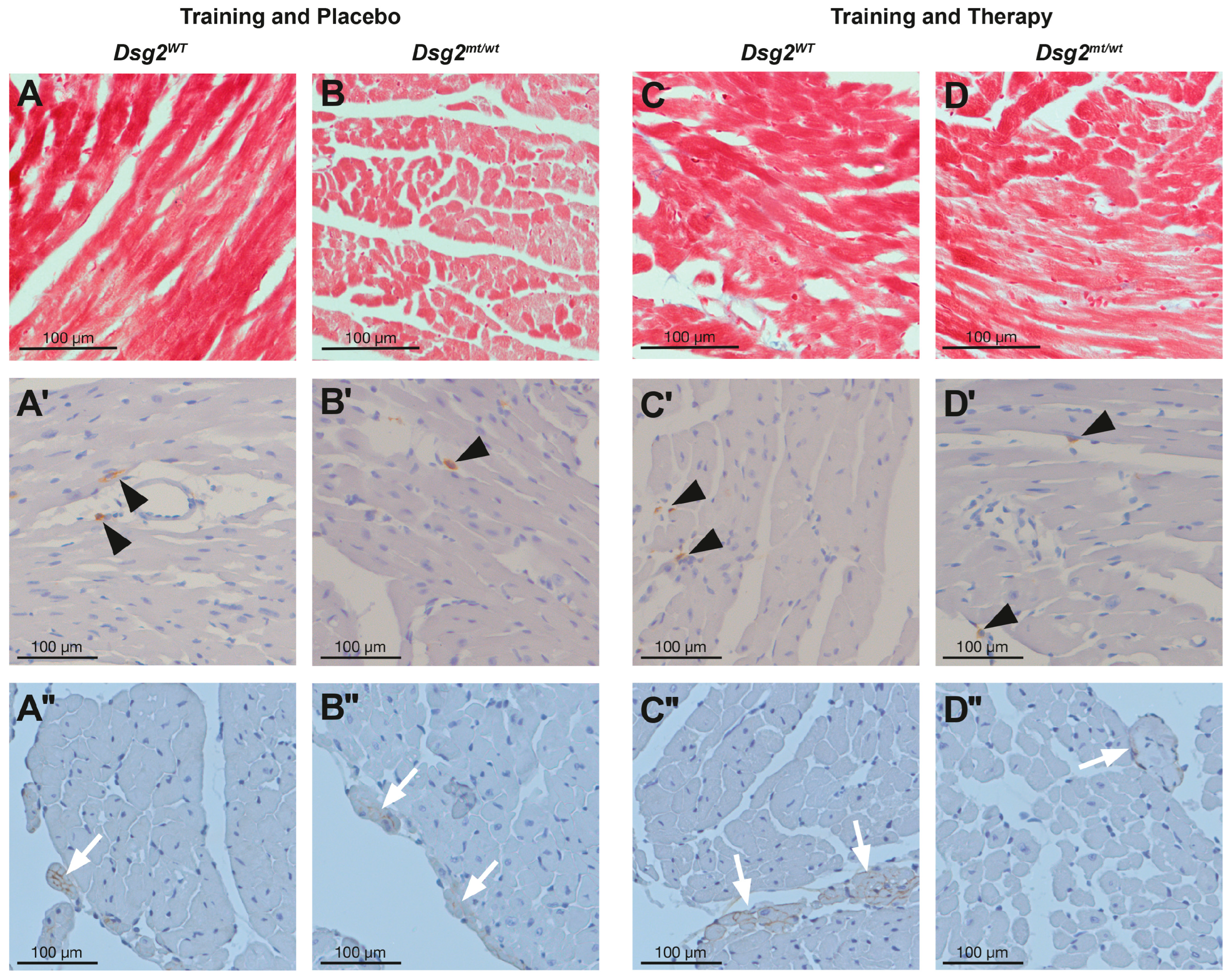 Biomedicines 12 00985 g006