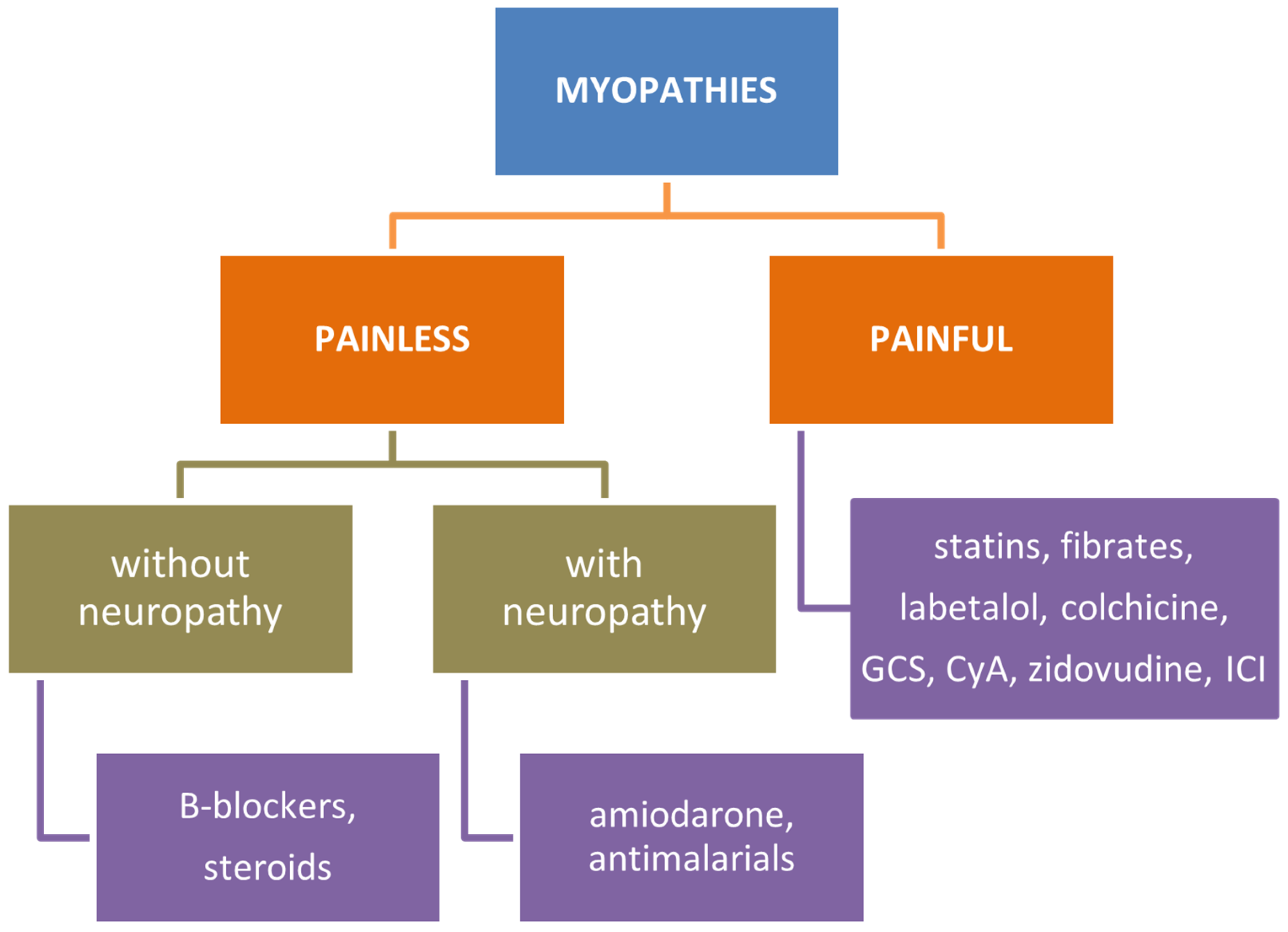 Biomedicines 12 00987 g002