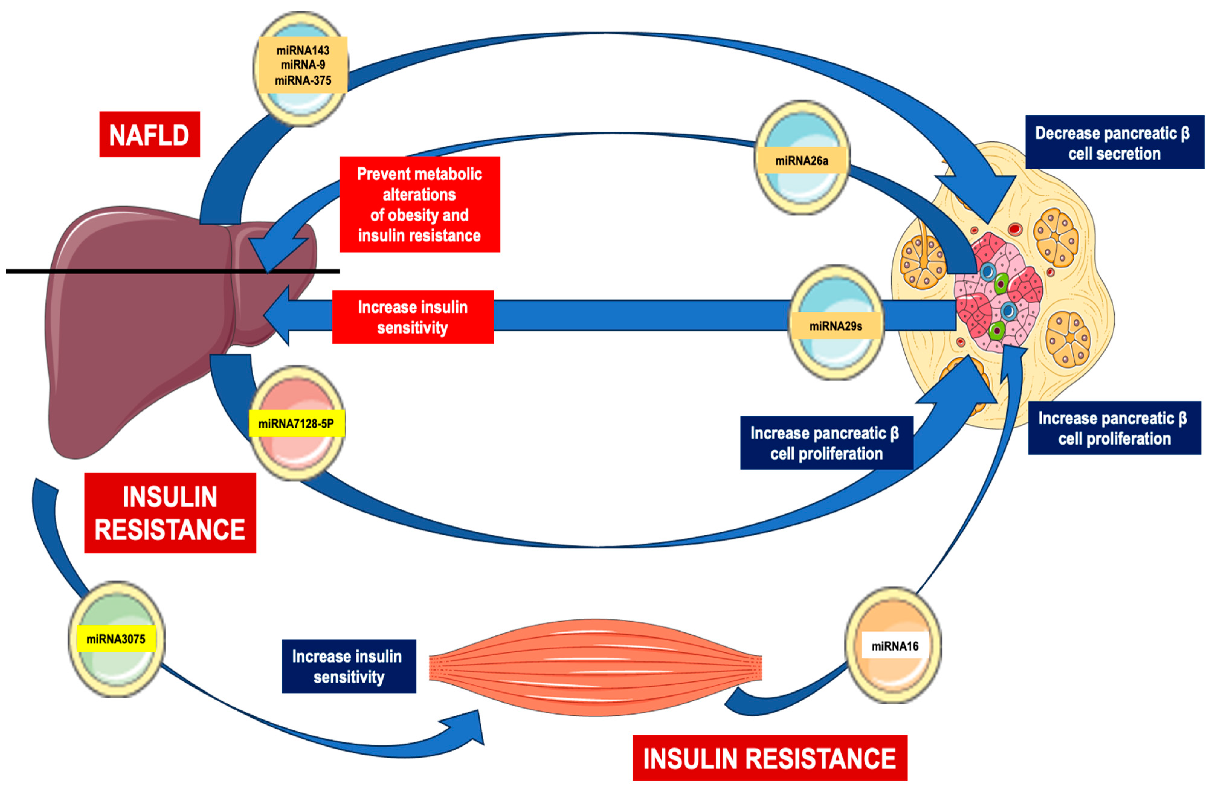 Biomedicines 12 00992 g002