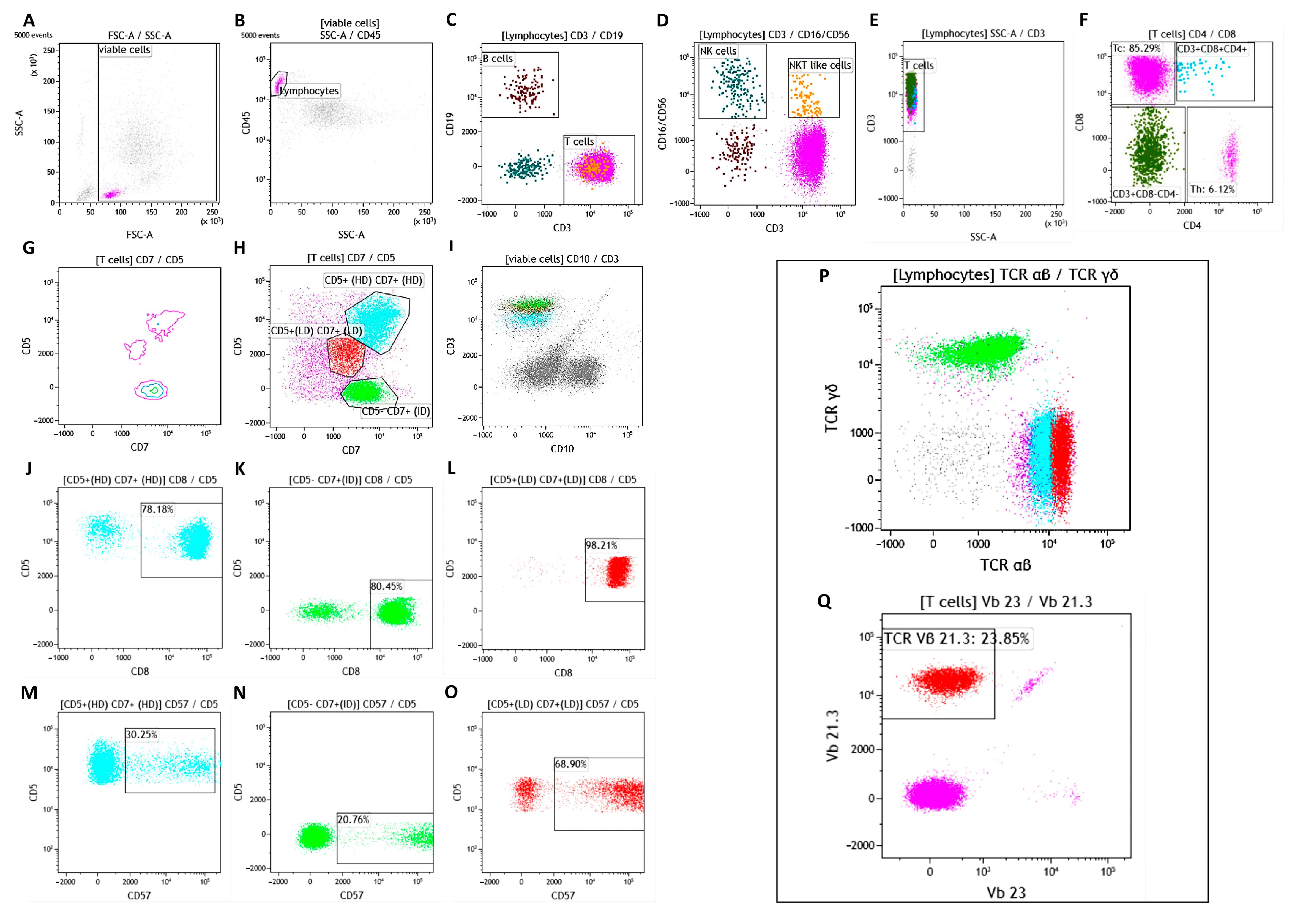 Biomedicines 12 00993 g001