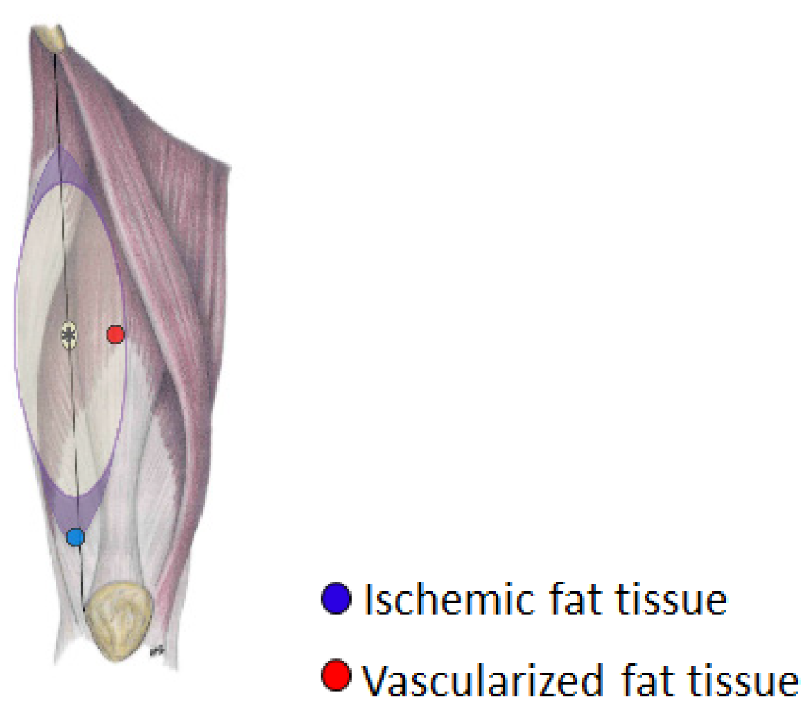 Biomedicines 12 00997 g001
