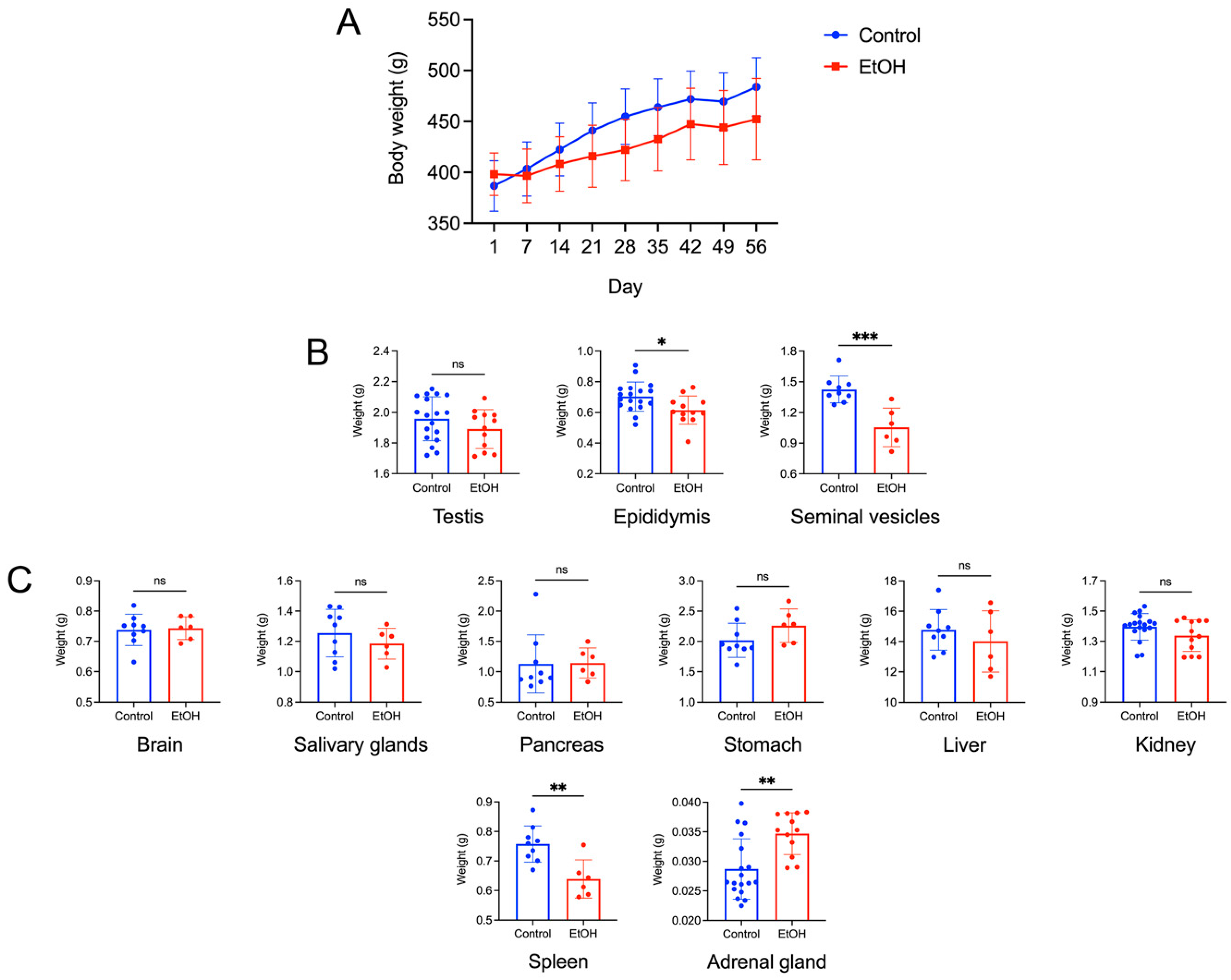 Biomedicines 12 01010 g001 Biomedicines 12 01010 g001