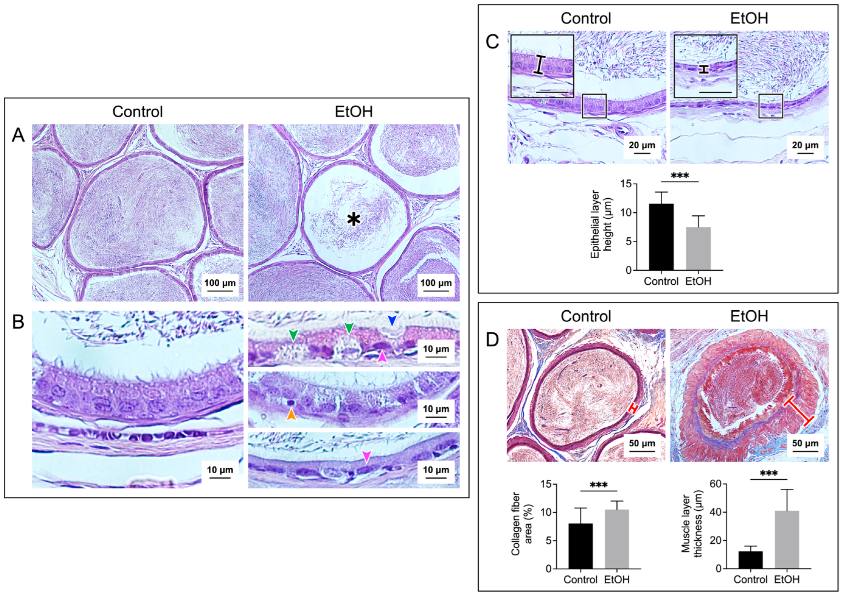 Biomedicines 12 01010 g002 Biomedicines 12 01010 g002
