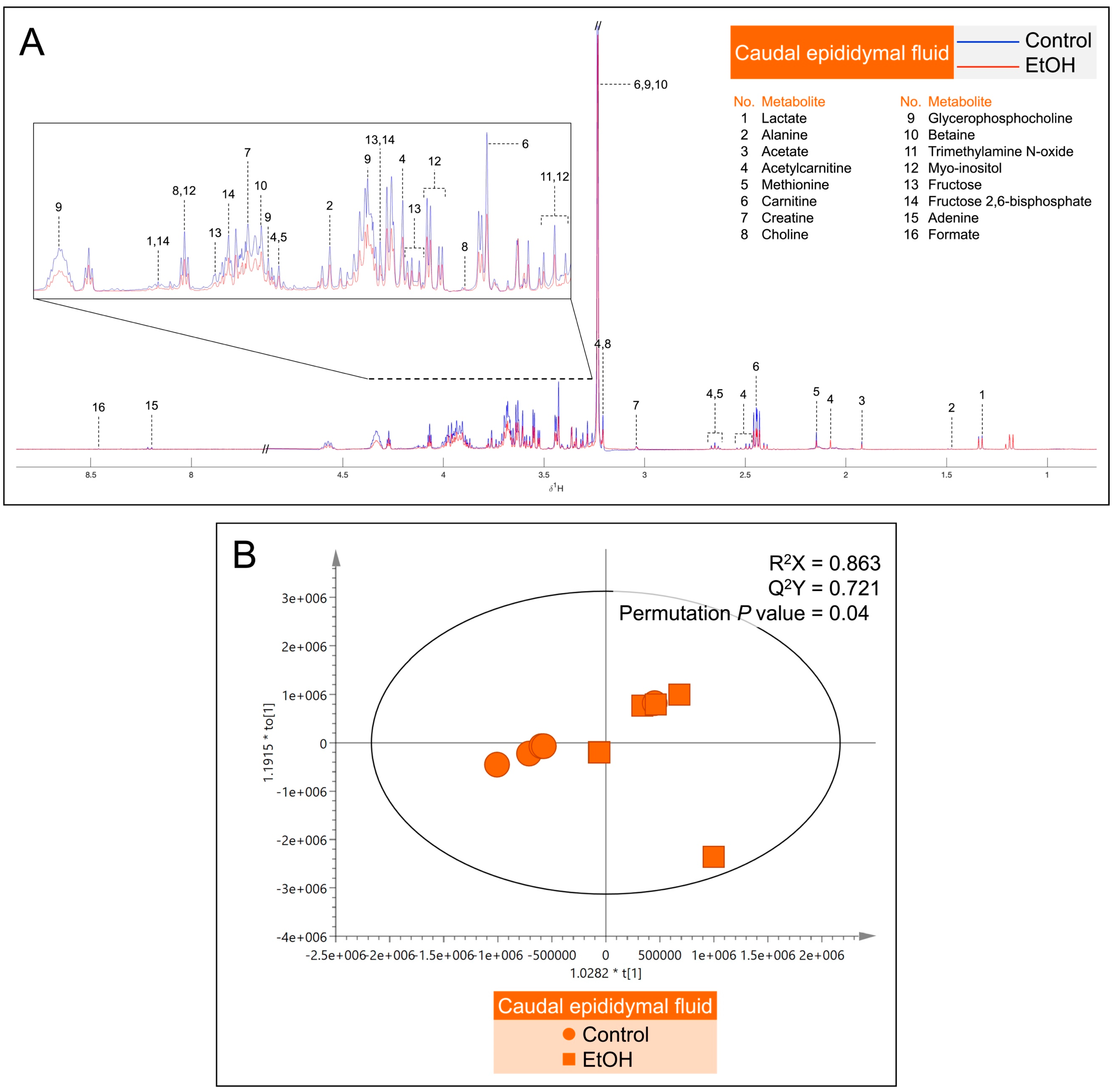 Biomedicines 12 01010 g007 Biomedicines 12 01010 g007