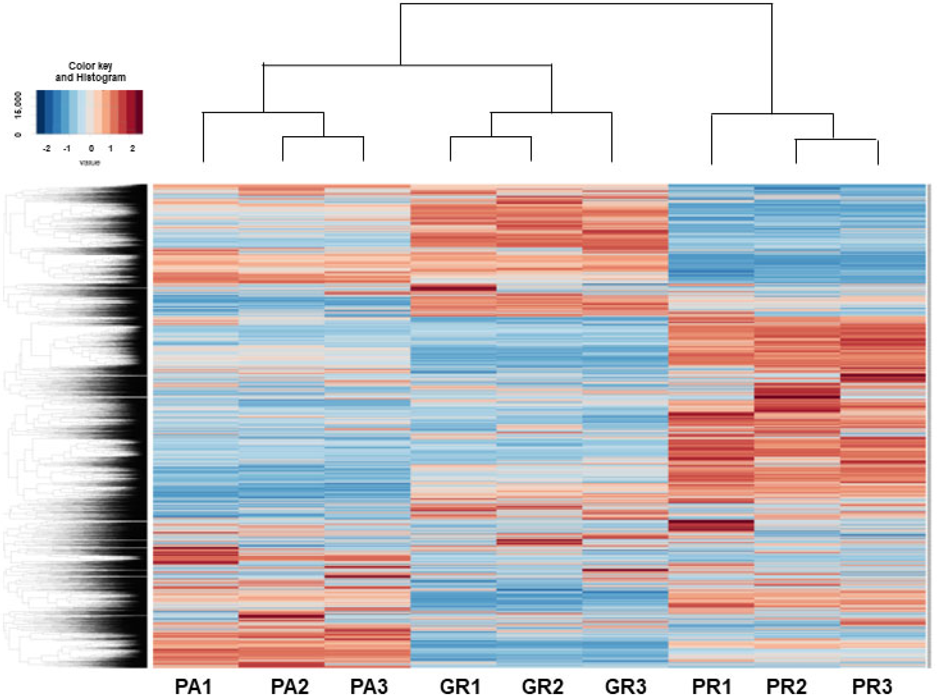 Biomedicines 12 01011 g004