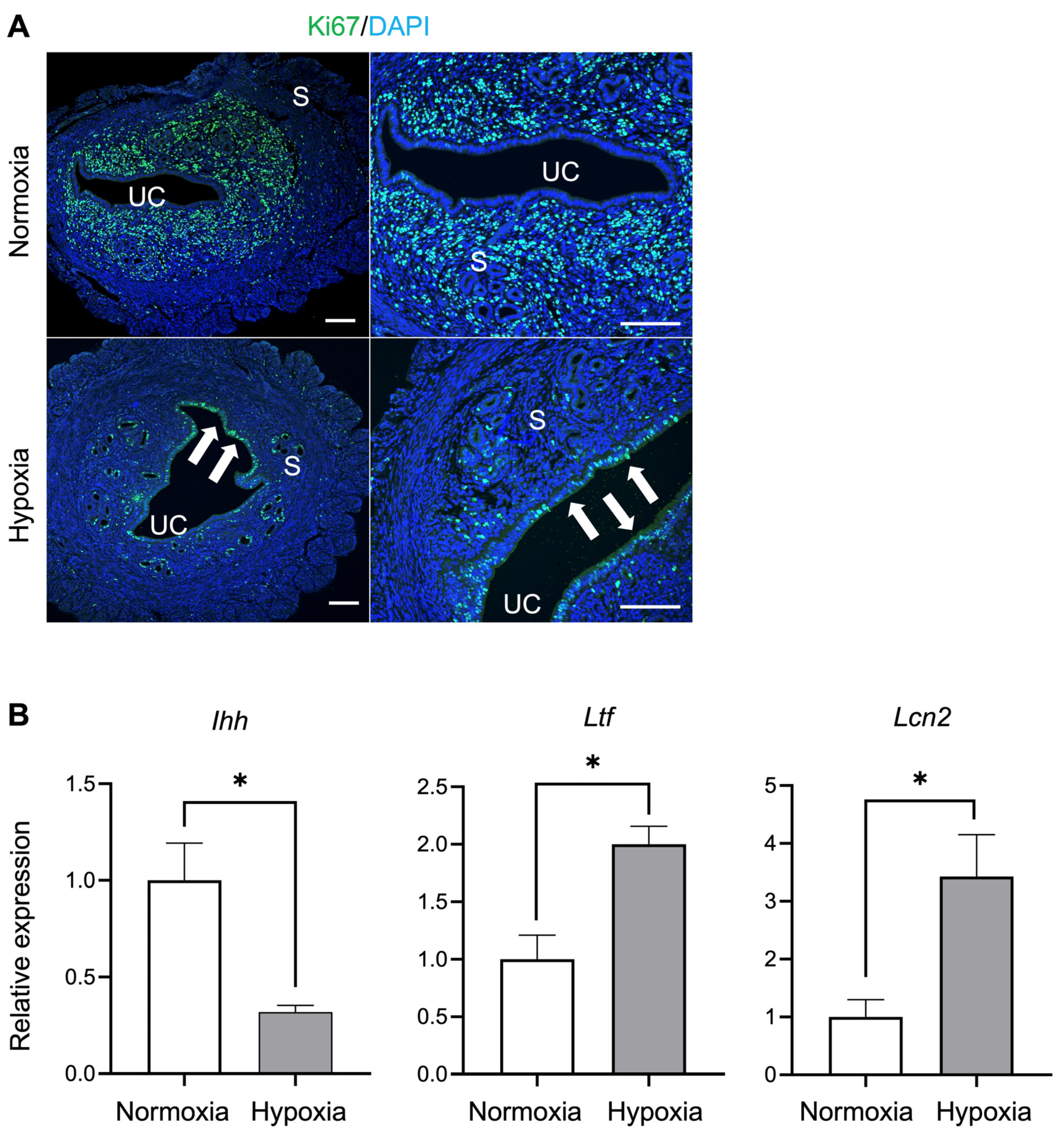 Biomedicines 12 01016 g005