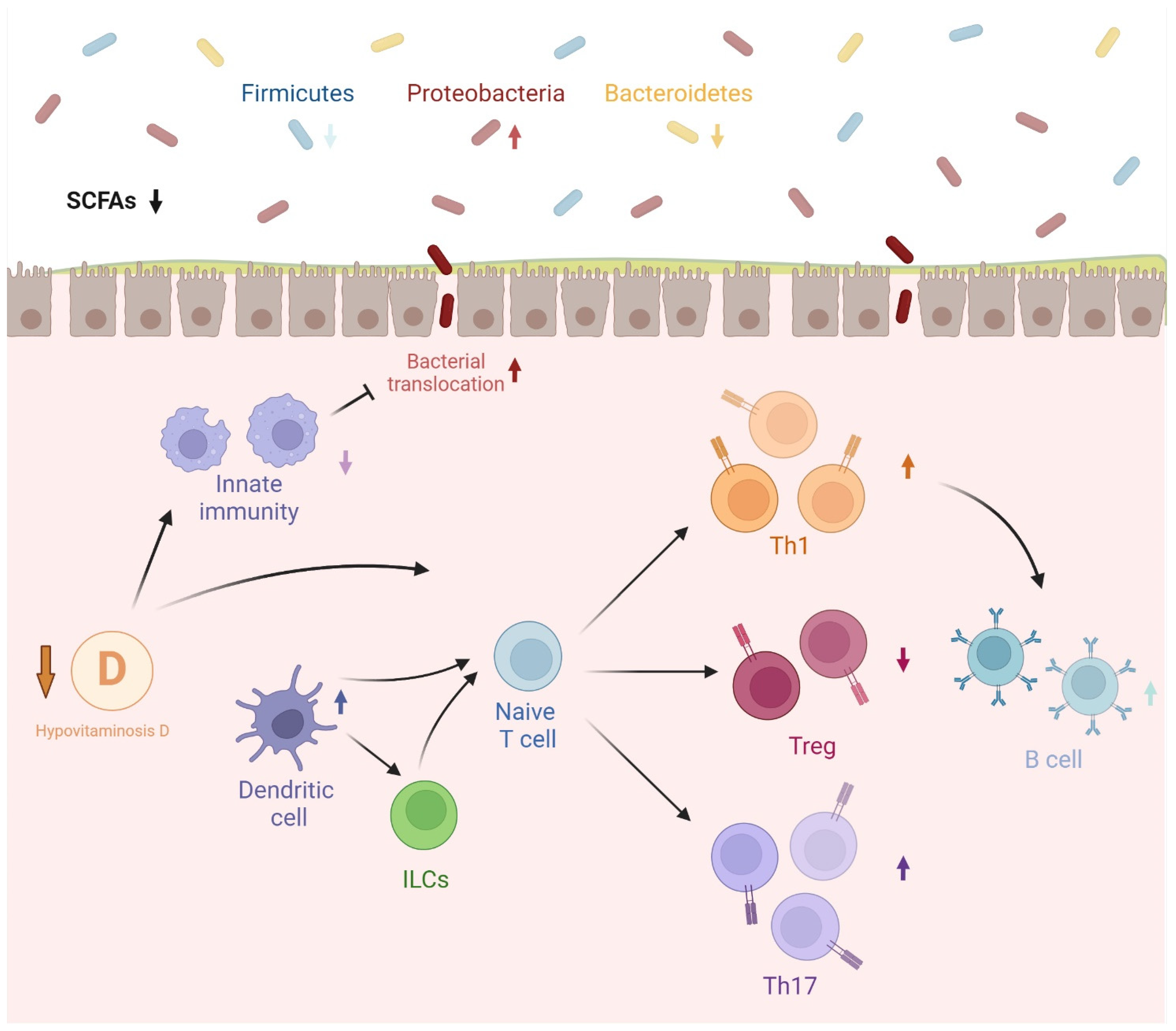 Biomedicines 12 01023 g001