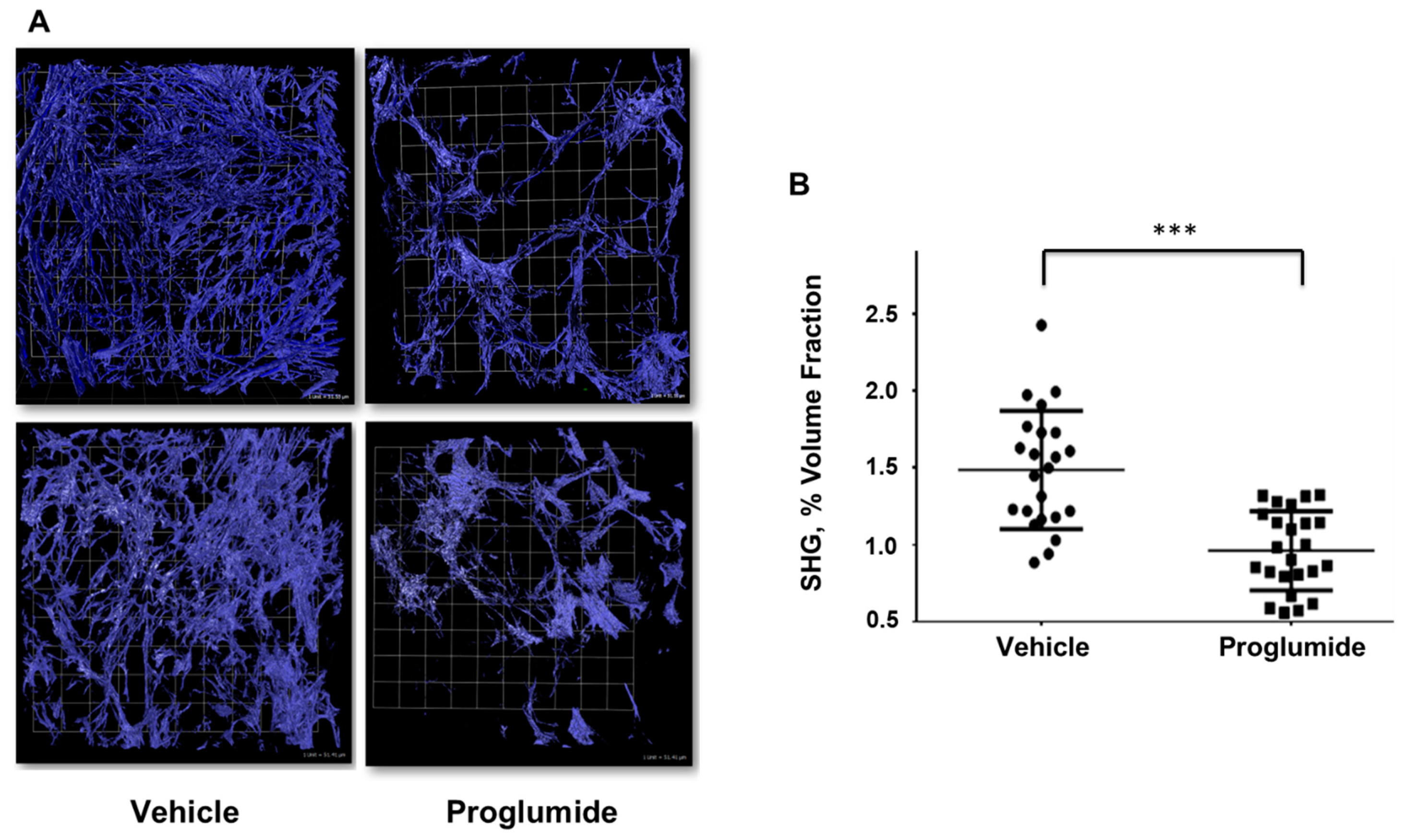 Biomedicines 12 01024 g001