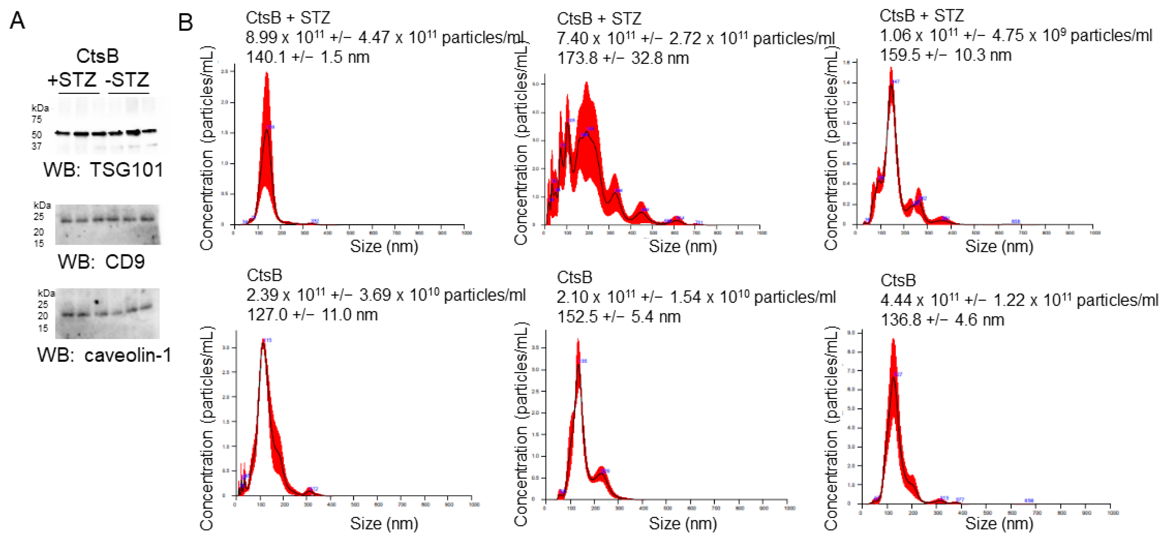 Biomedicines 12 01038 g001