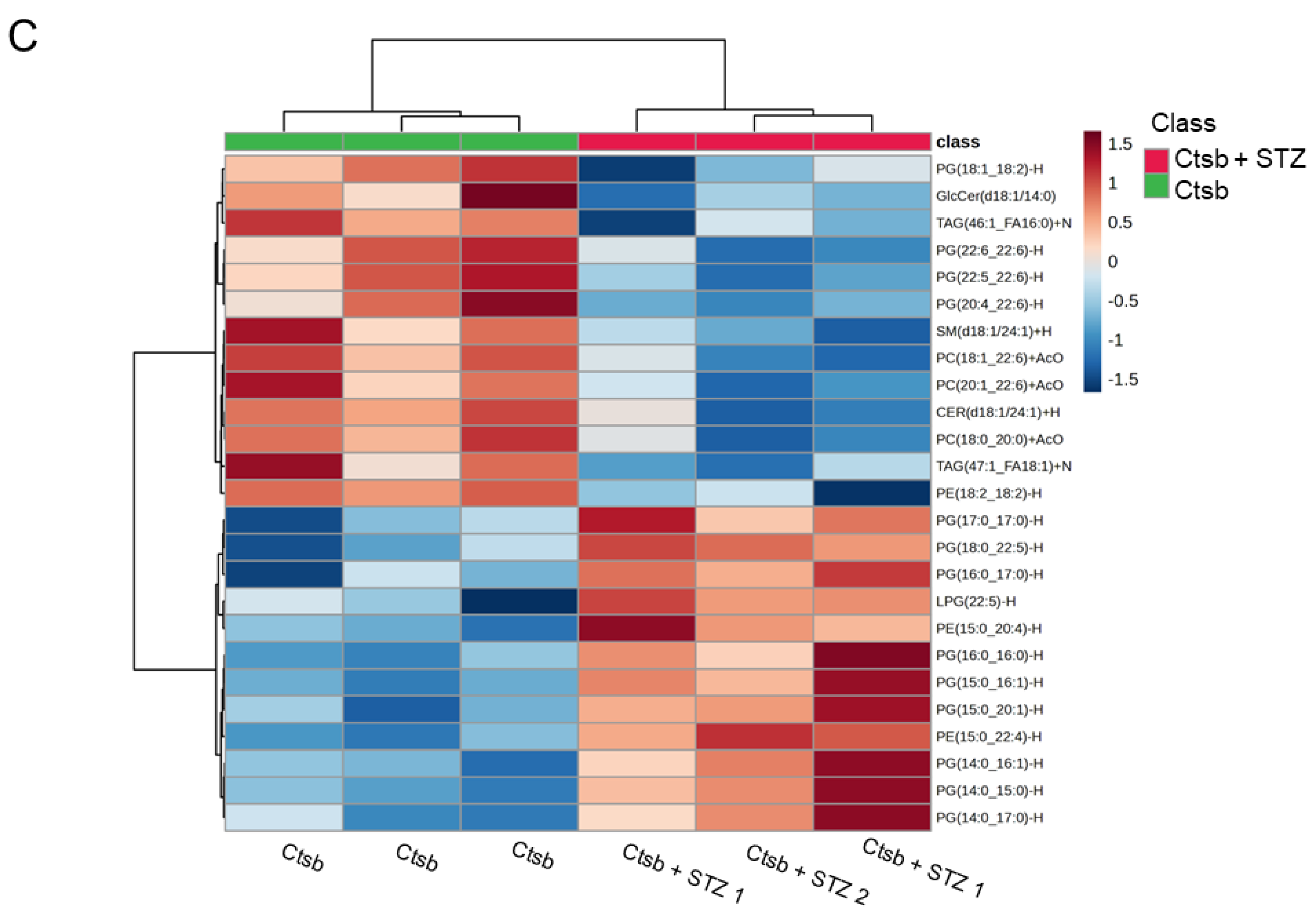 Biomedicines 12 01038 g002b
