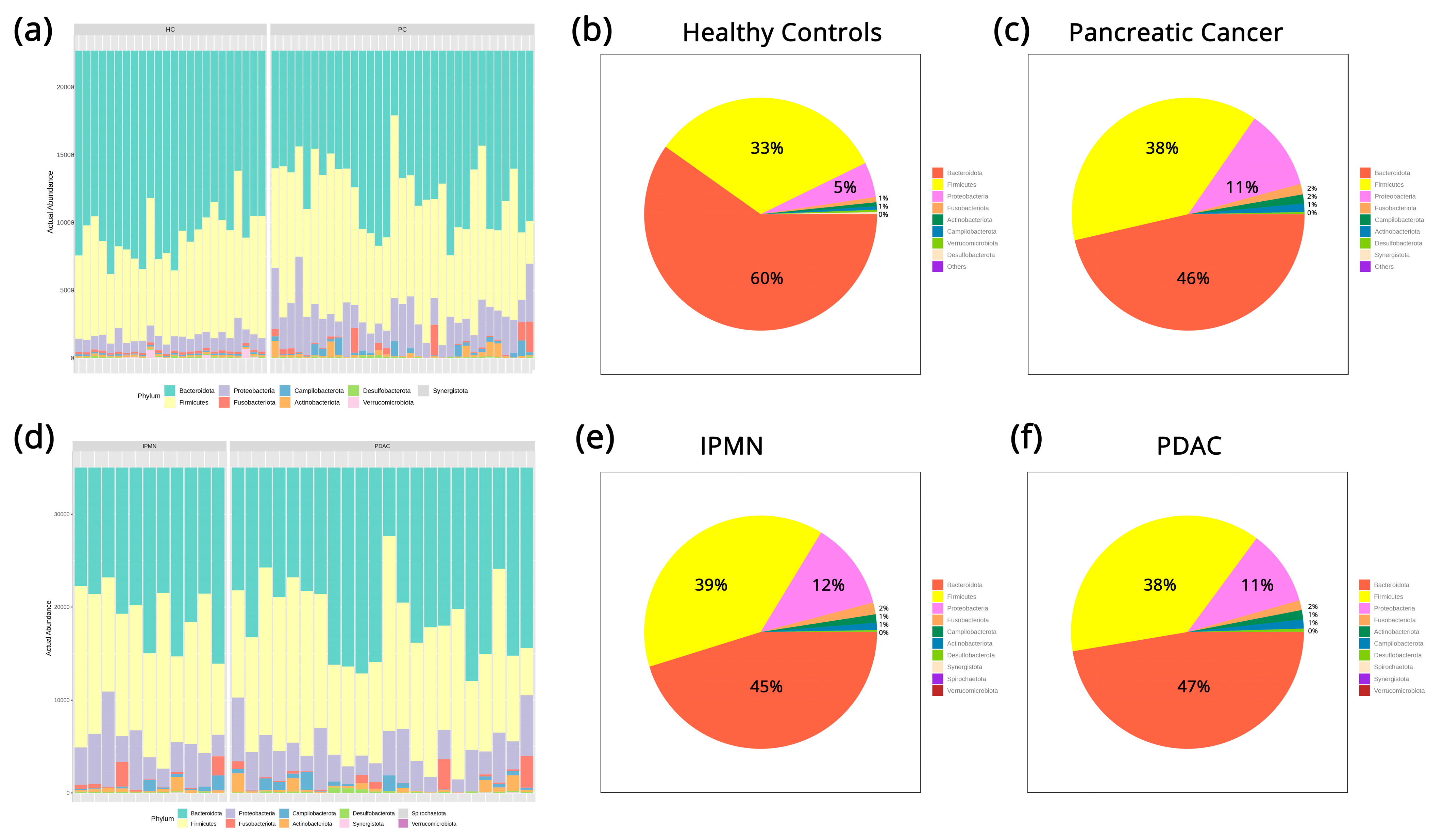 Biomedicines 12 01040 g001