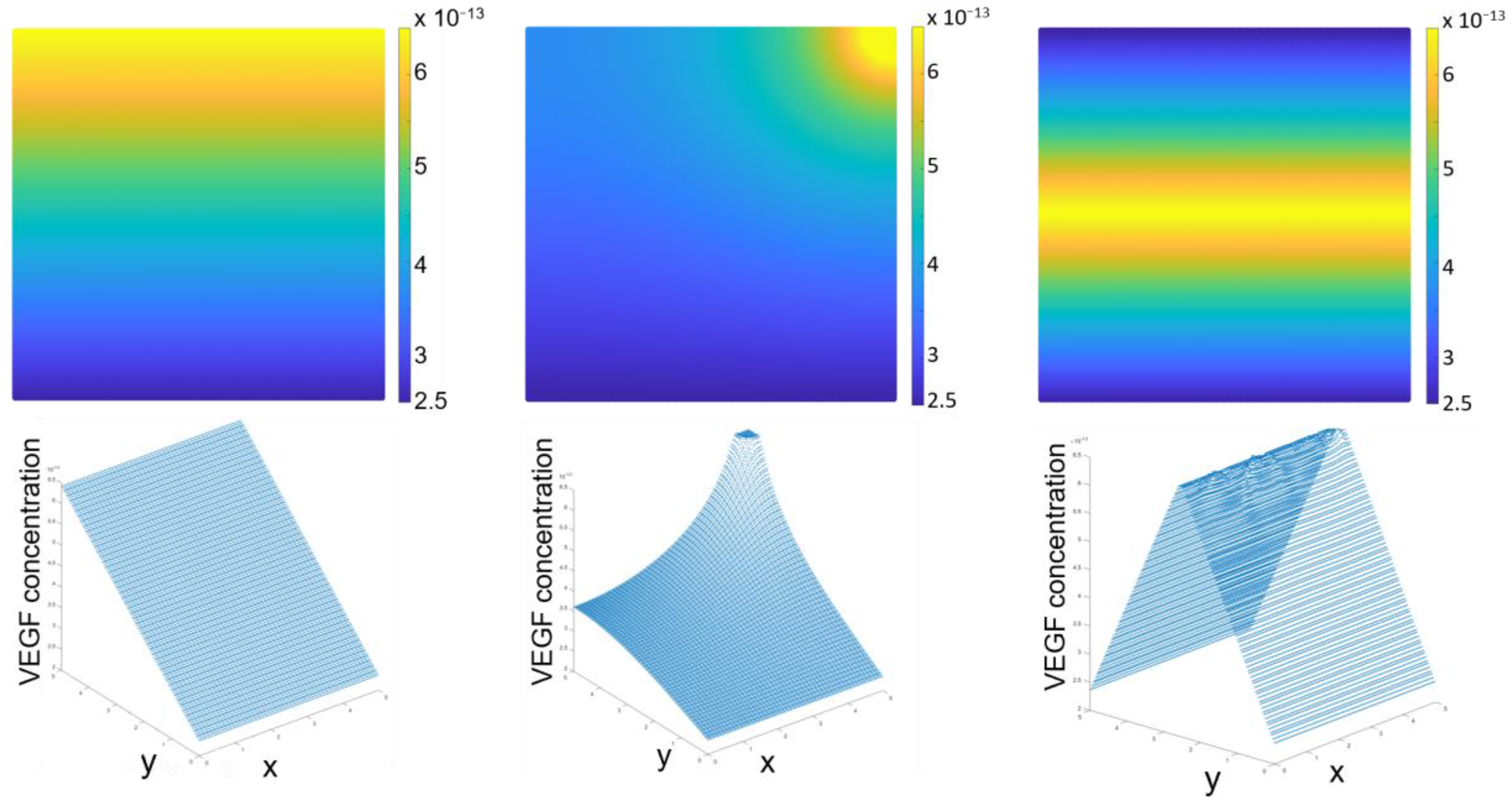Biomedicines 12 01045 g002
