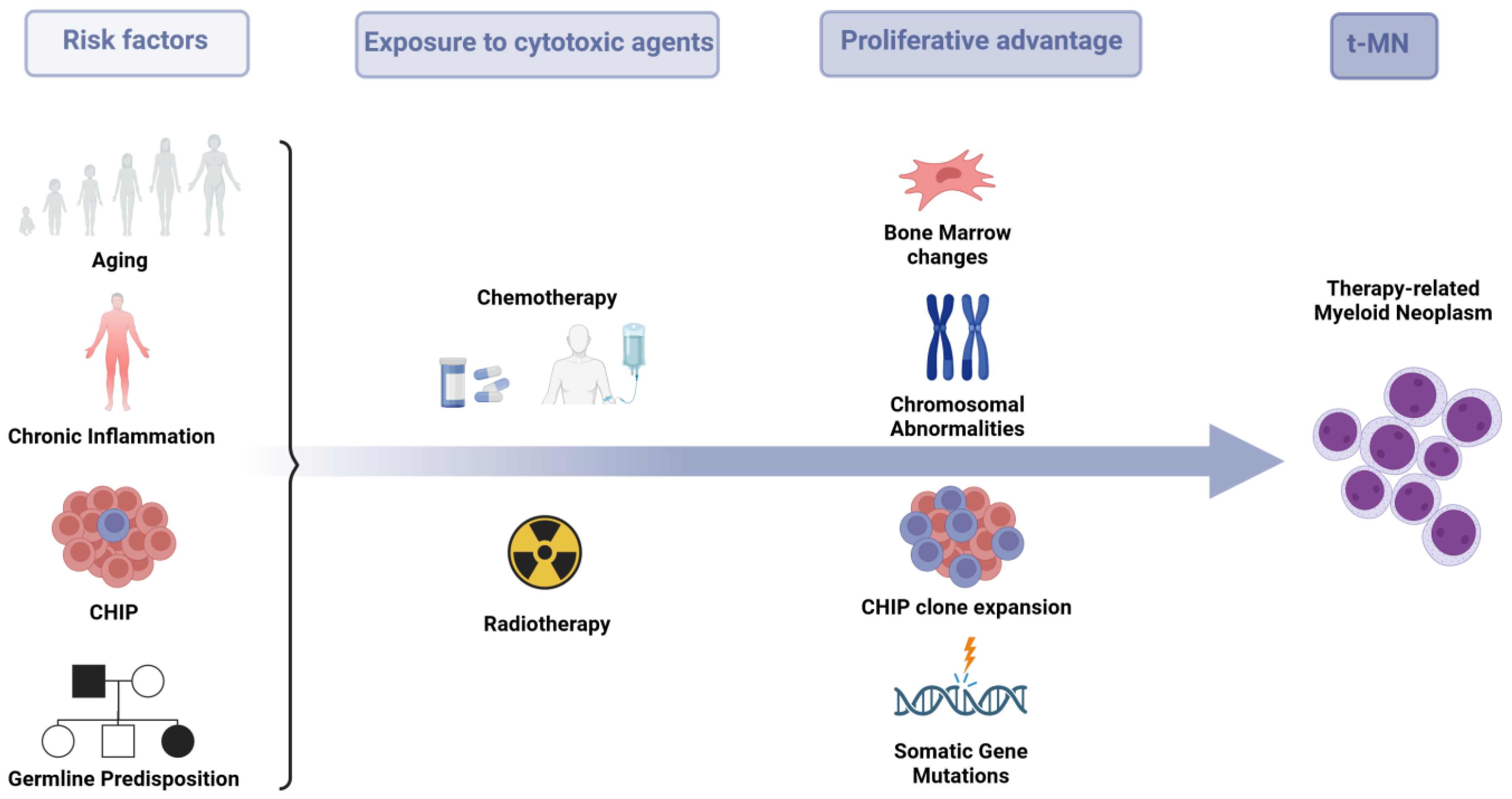 Biomedicines 12 01054 g001