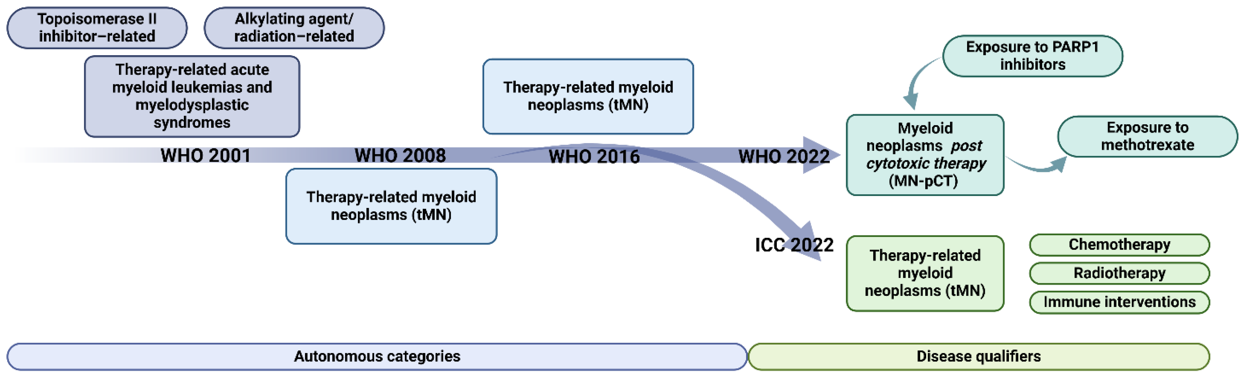 Biomedicines 12 01054 g002