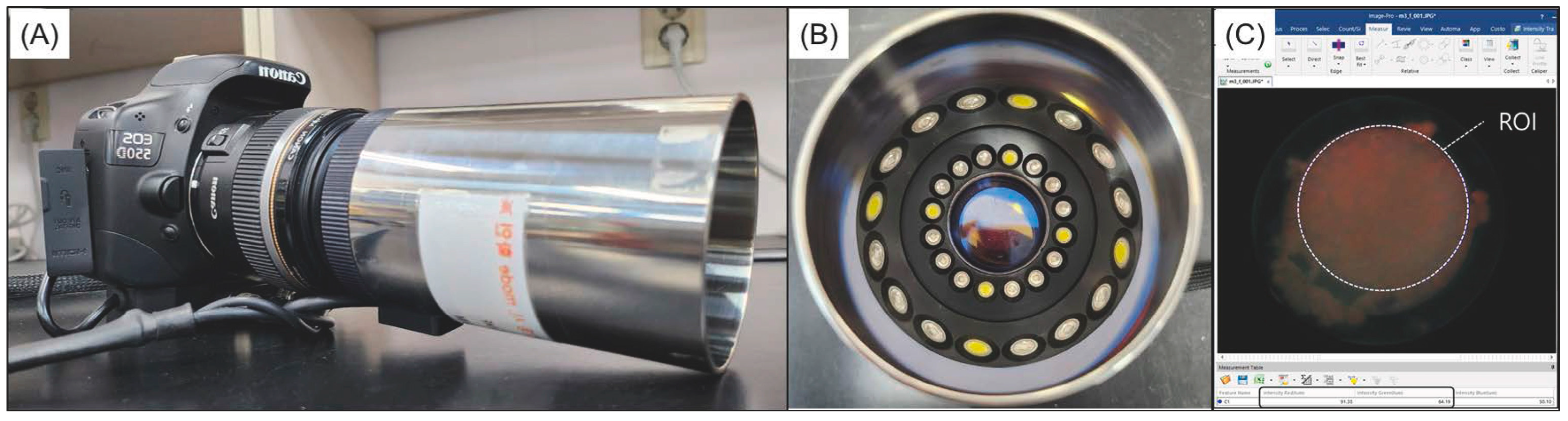 Biomedicines 12 01056 g002