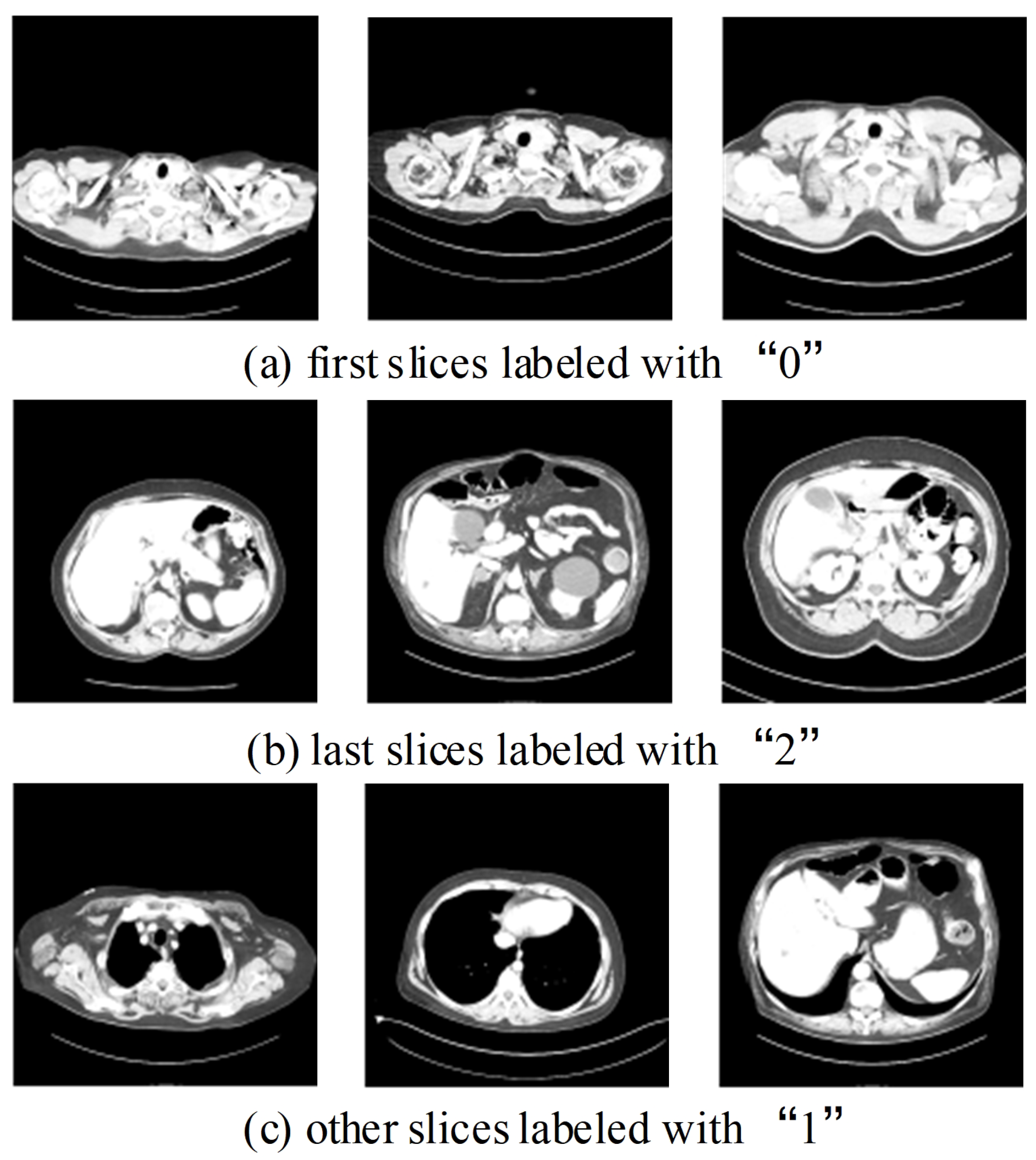 Biomedicines 12 01061 g006