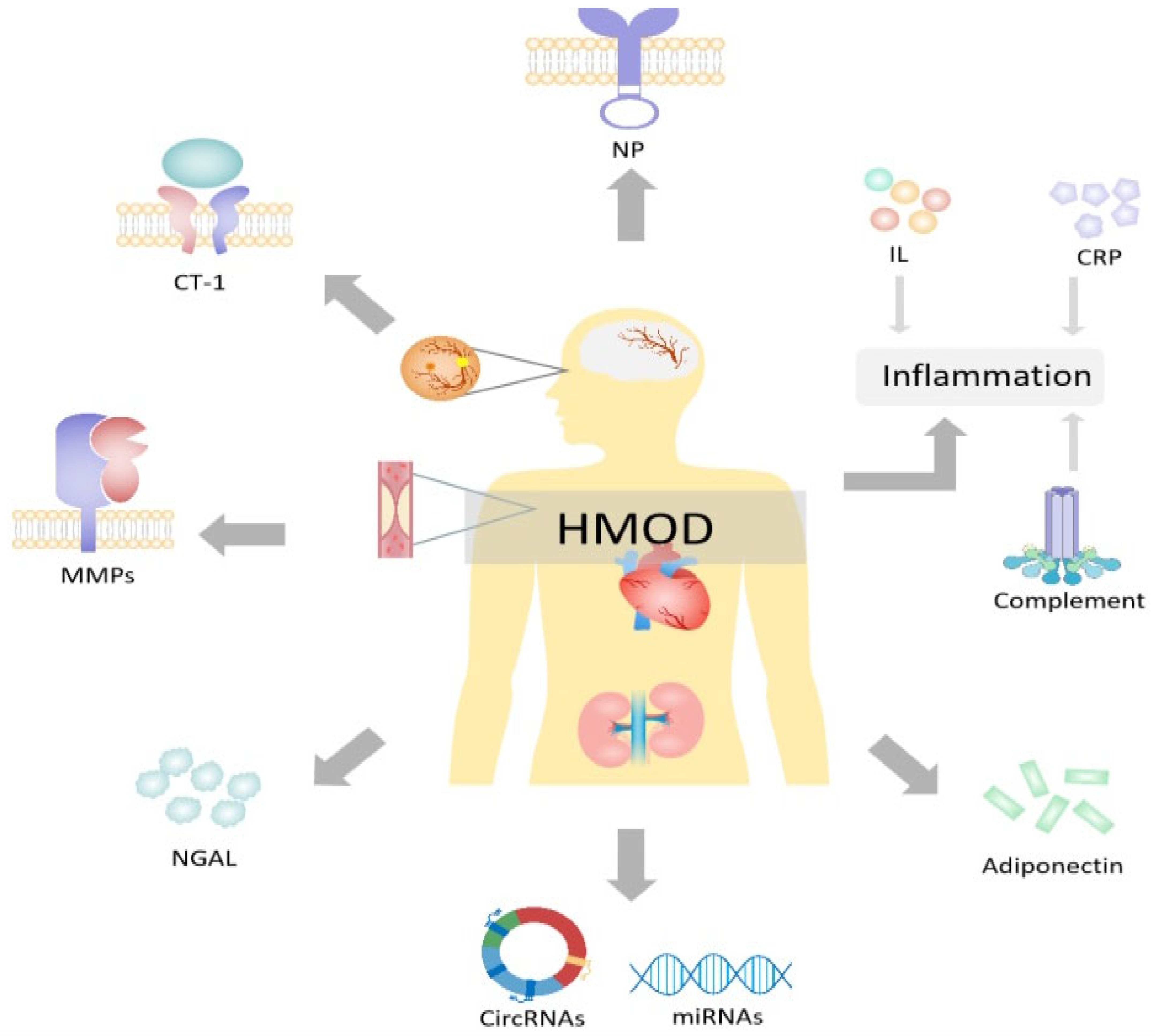 Biomedicines 12 01071 g002