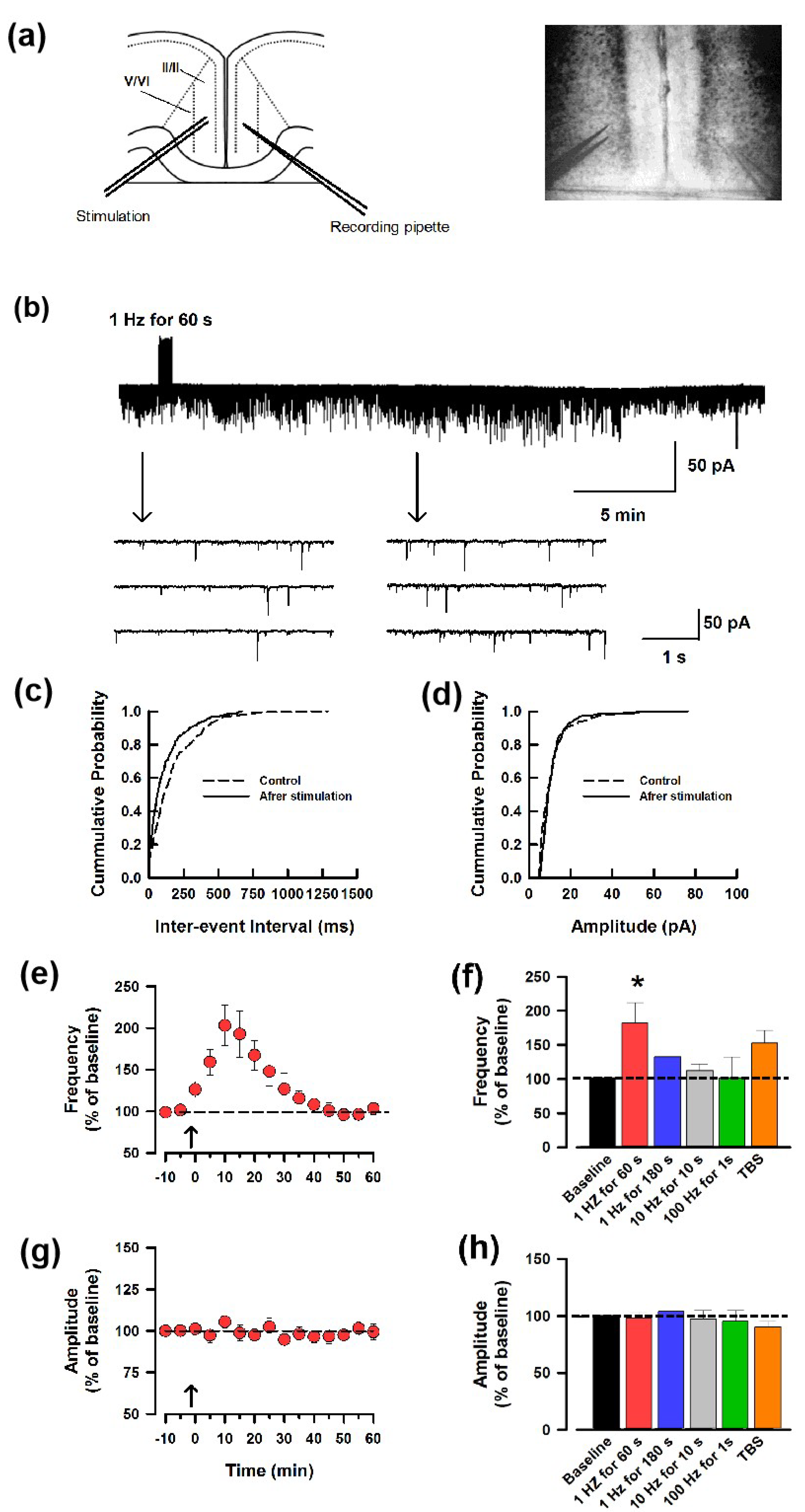 Biomedicines 12 01072 g001