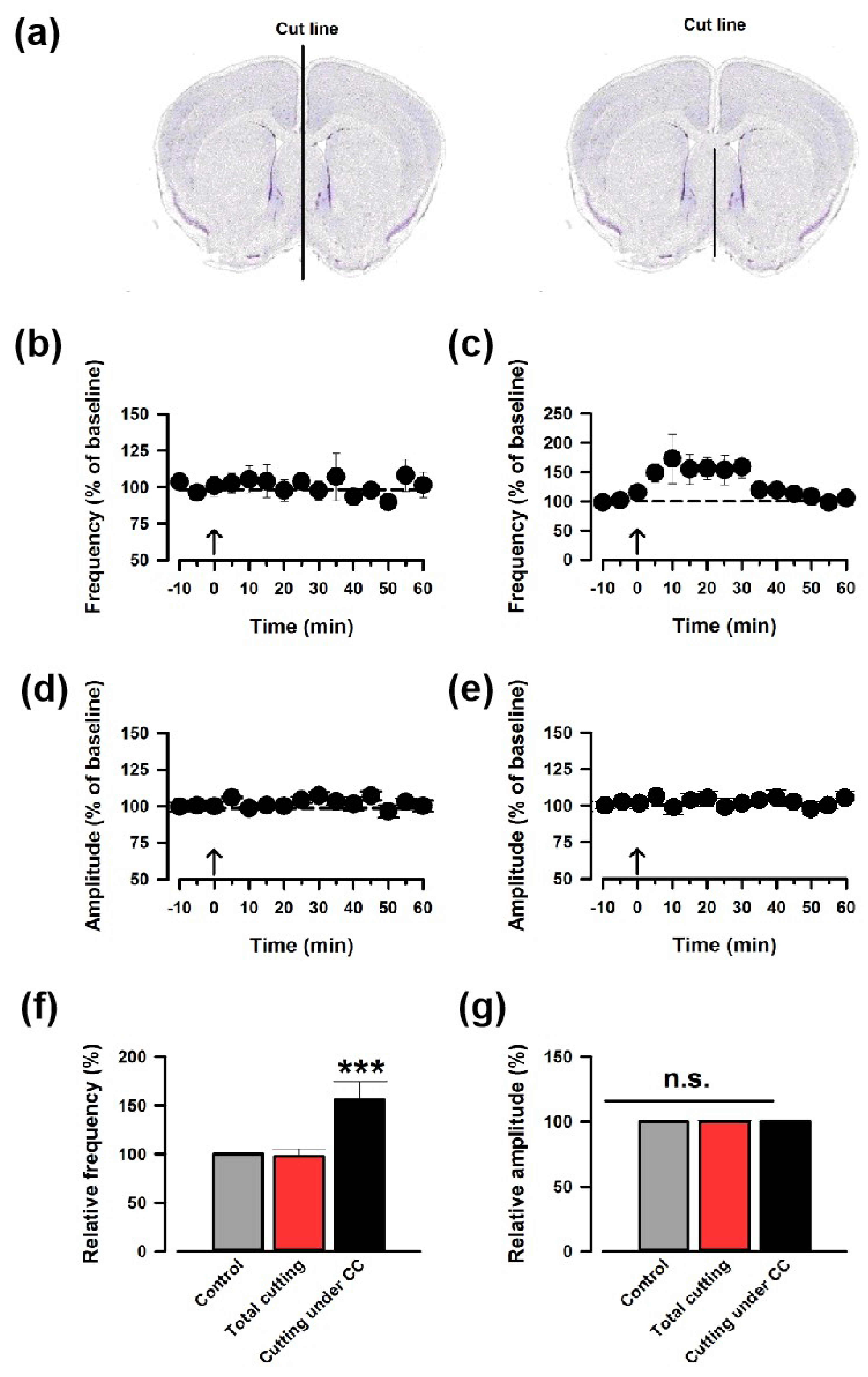 Biomedicines 12 01072 g002