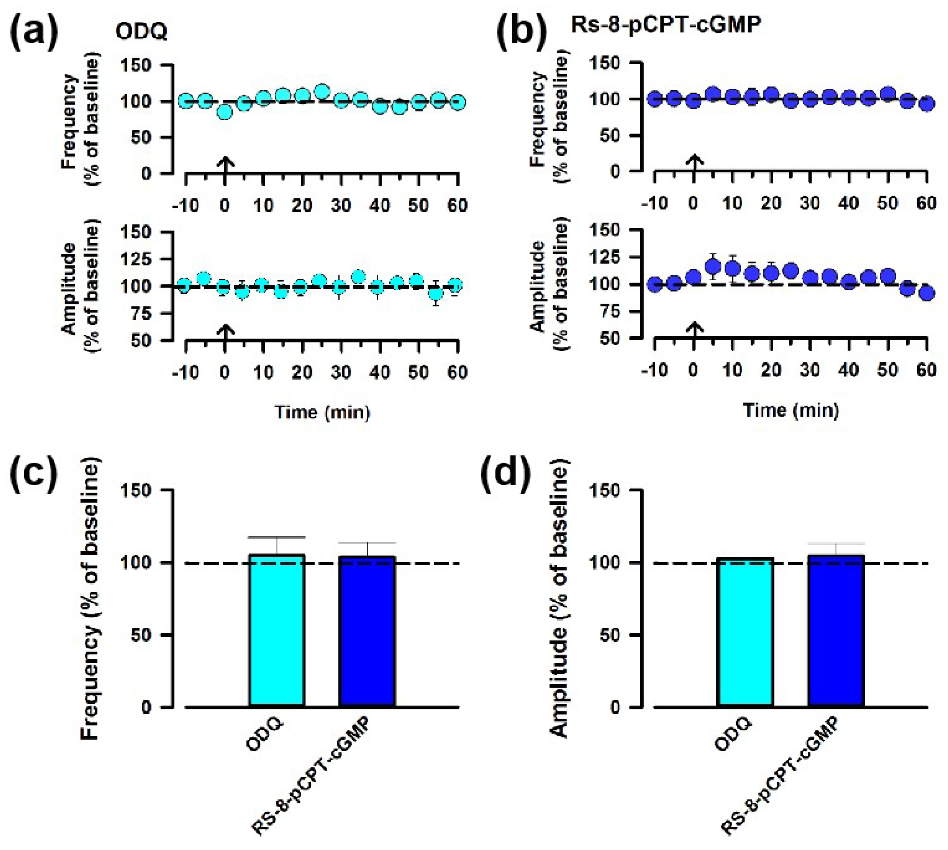 Biomedicines 12 01072 g005