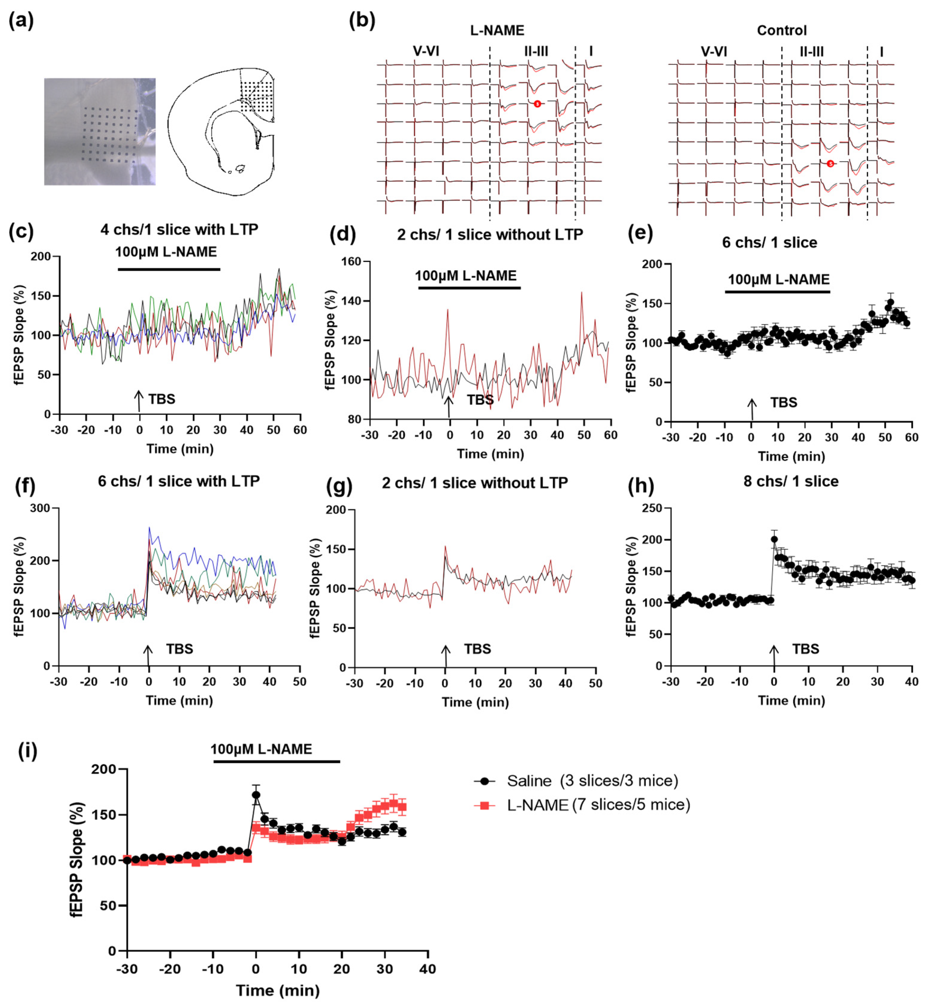Biomedicines 12 01072 g006