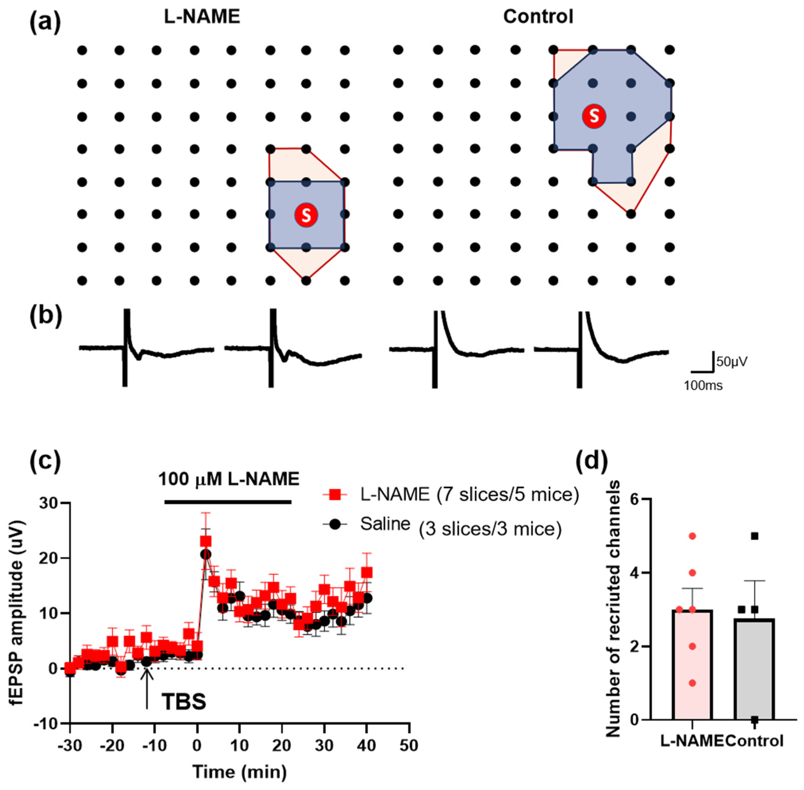 Biomedicines 12 01072 g007