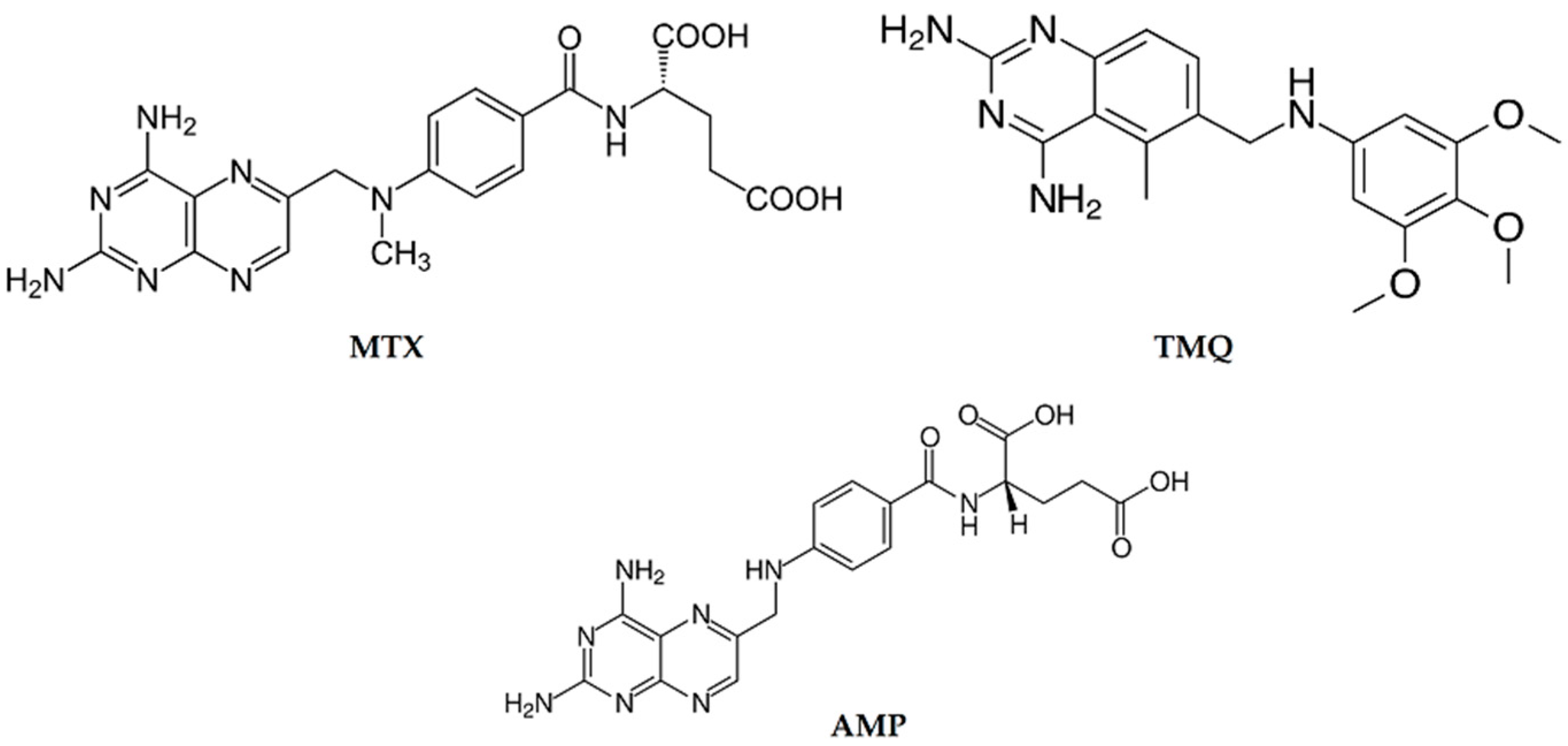 Biomedicines 12 01079 g003