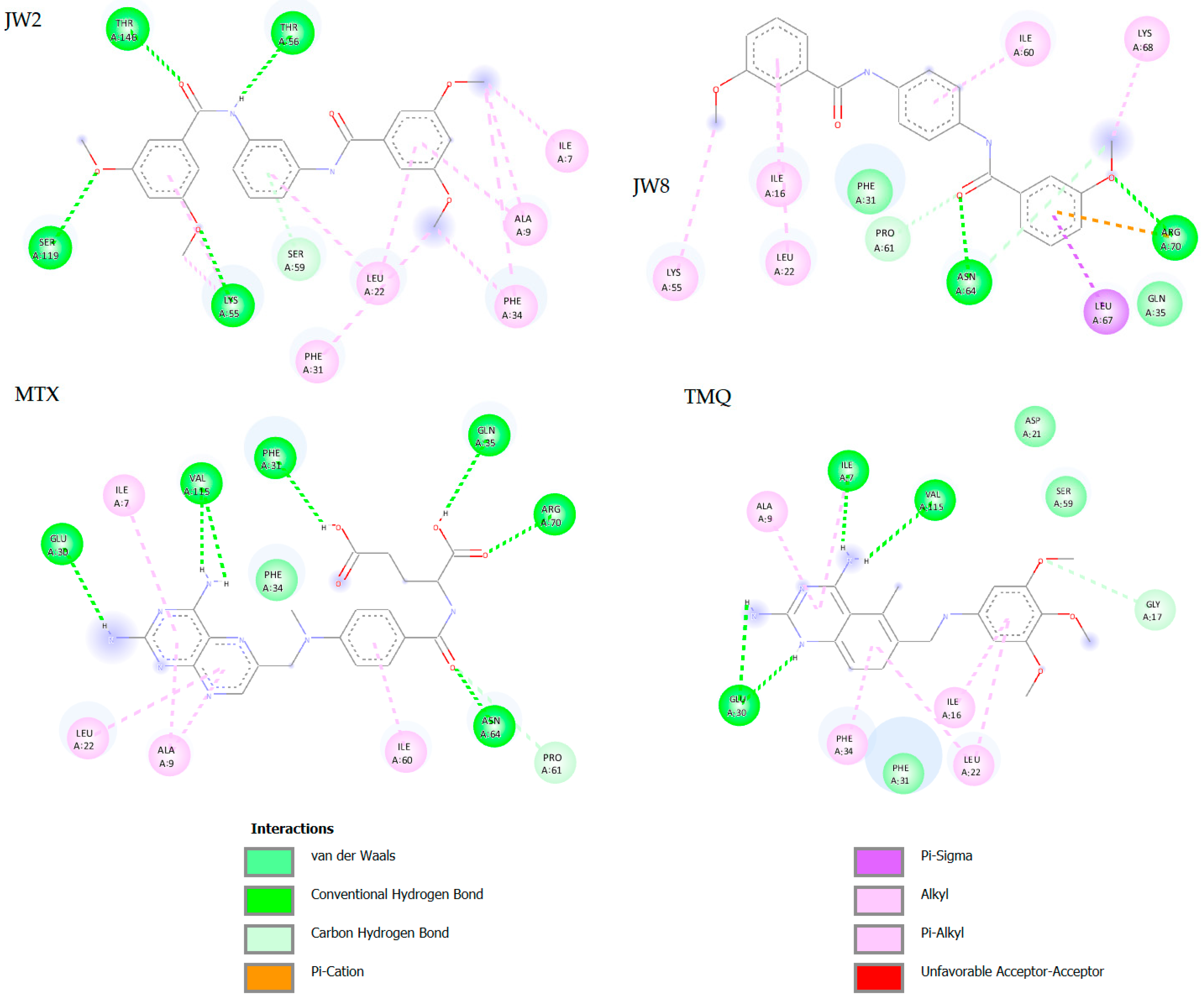Biomedicines 12 01079 g005